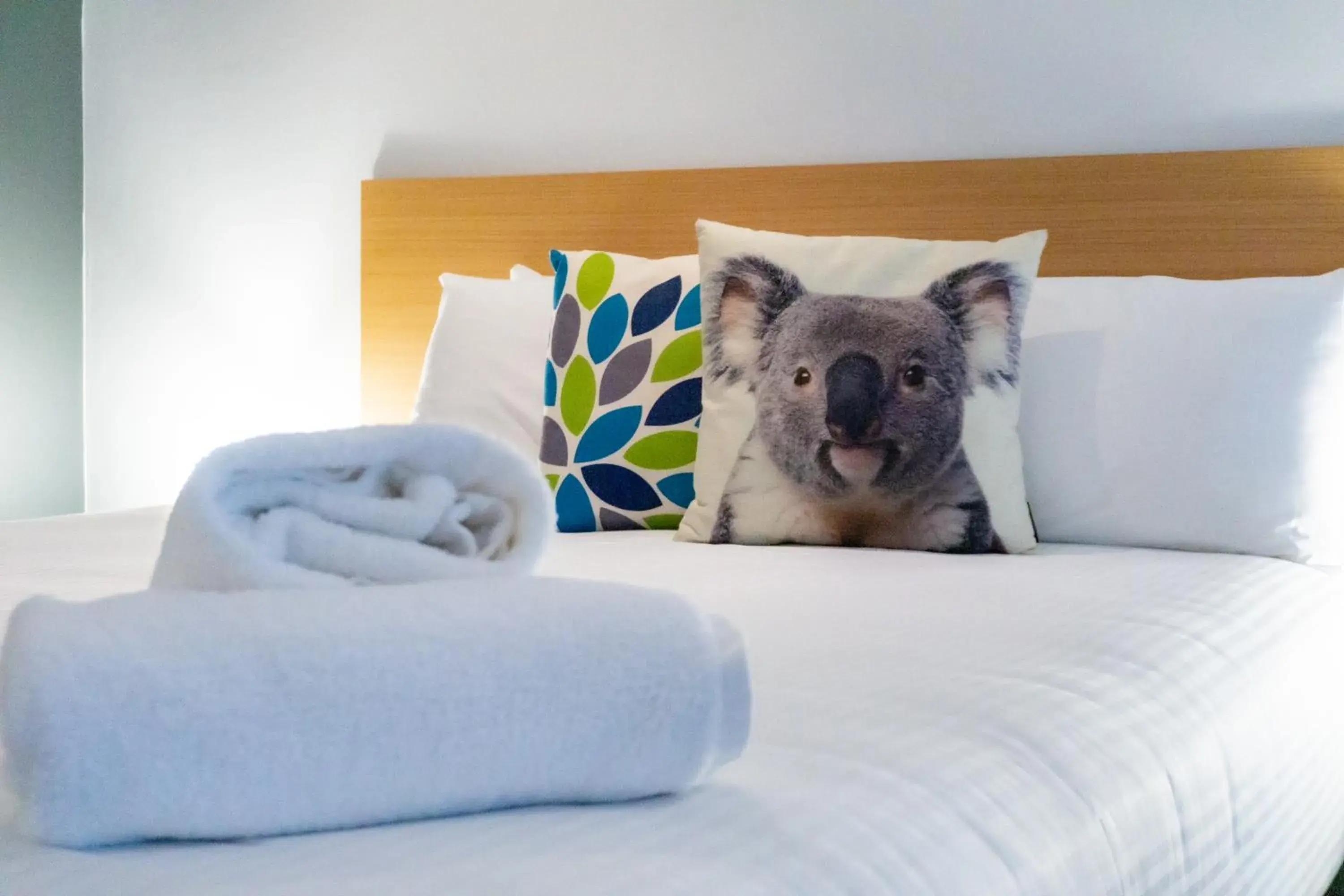 Studio Room Plus in Port Stephens Koala Sanctuary Studio Room Plus in Port Stephens Koala Sanctuary