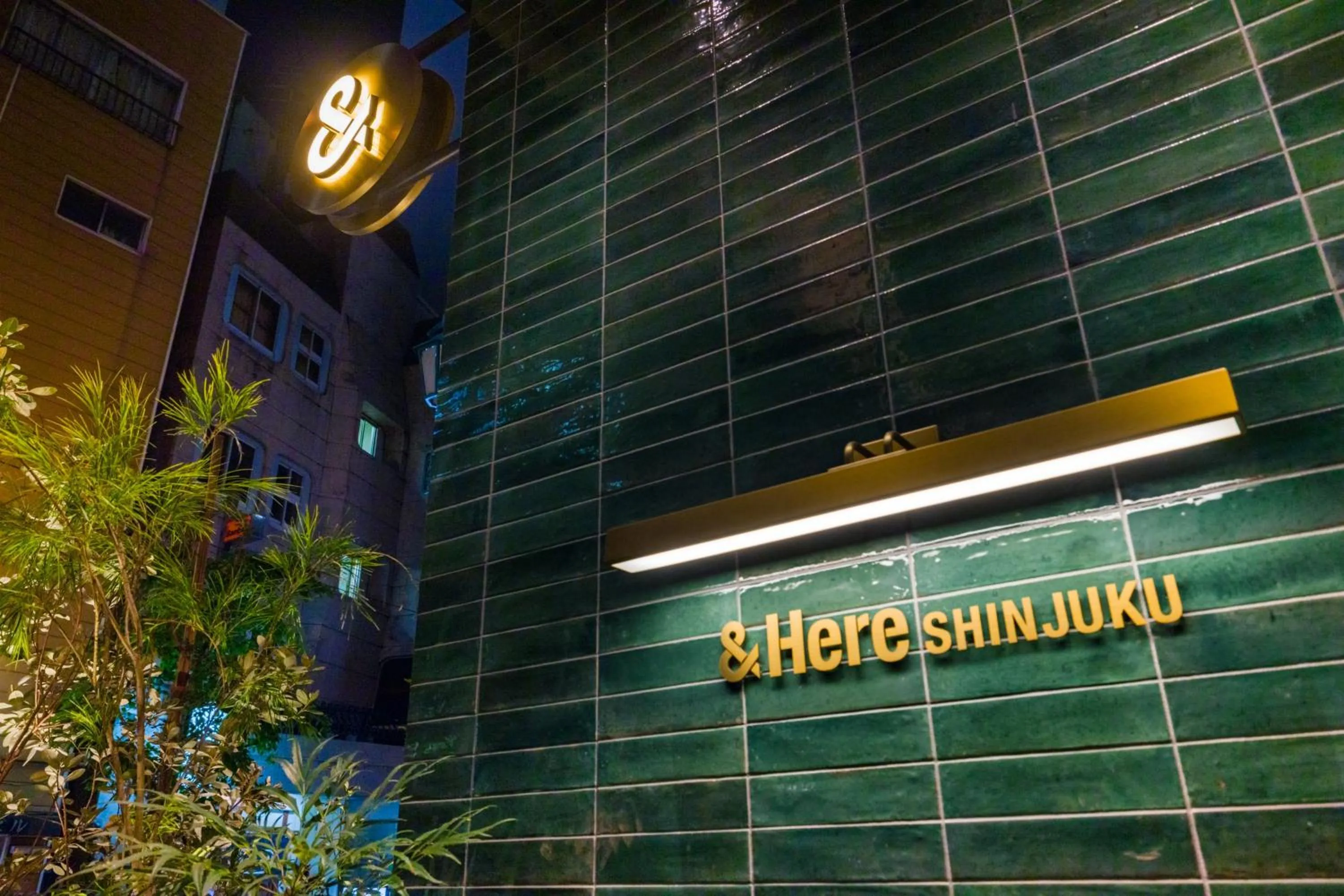 Night in &Here SHINJUKU