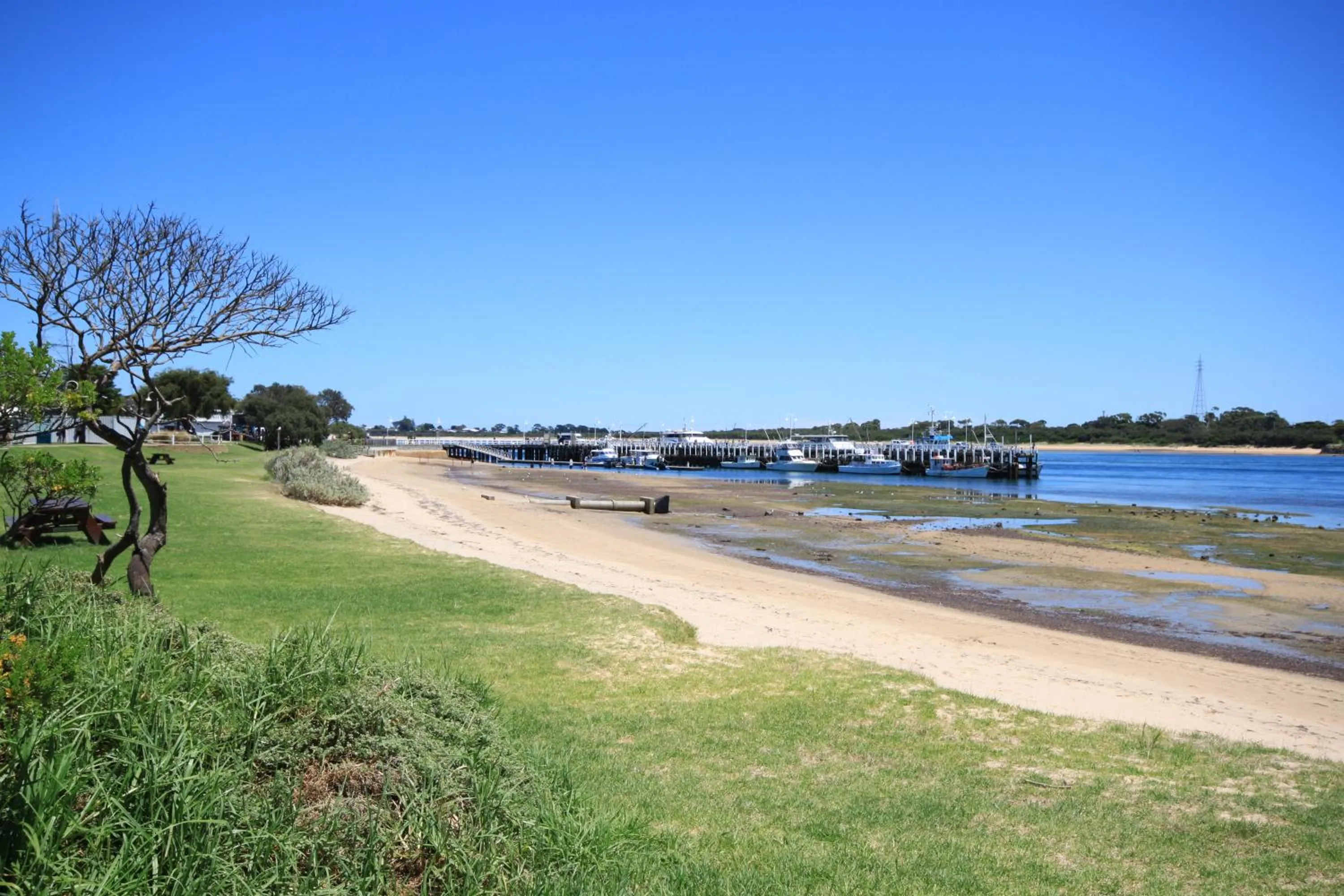 Pelicans Motel San Remo