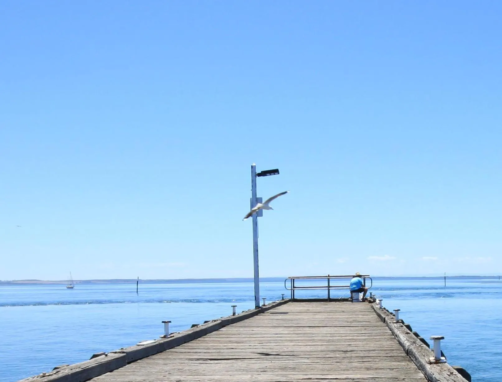 Pelicans Motel San Remo