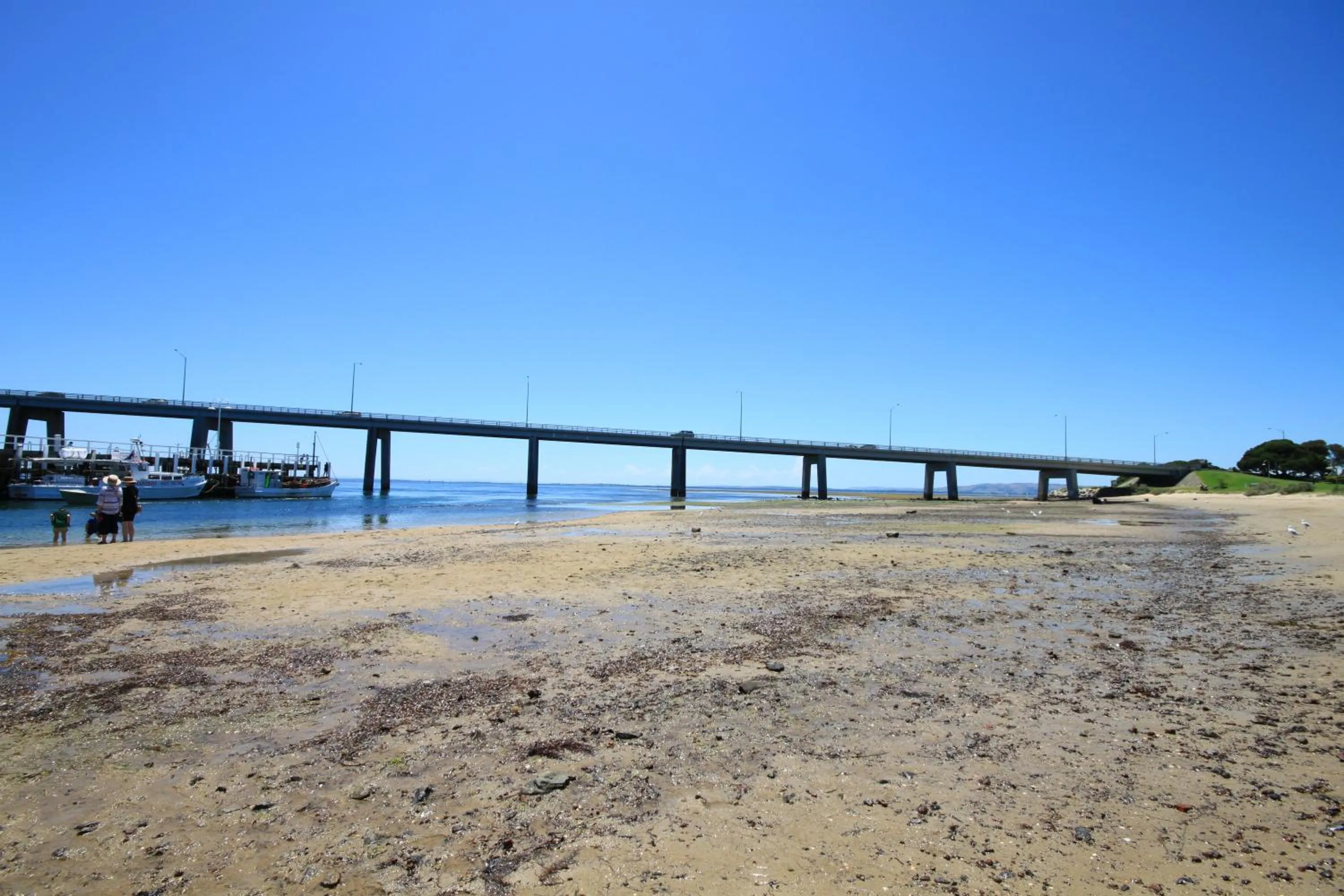 Pelicans Motel San Remo