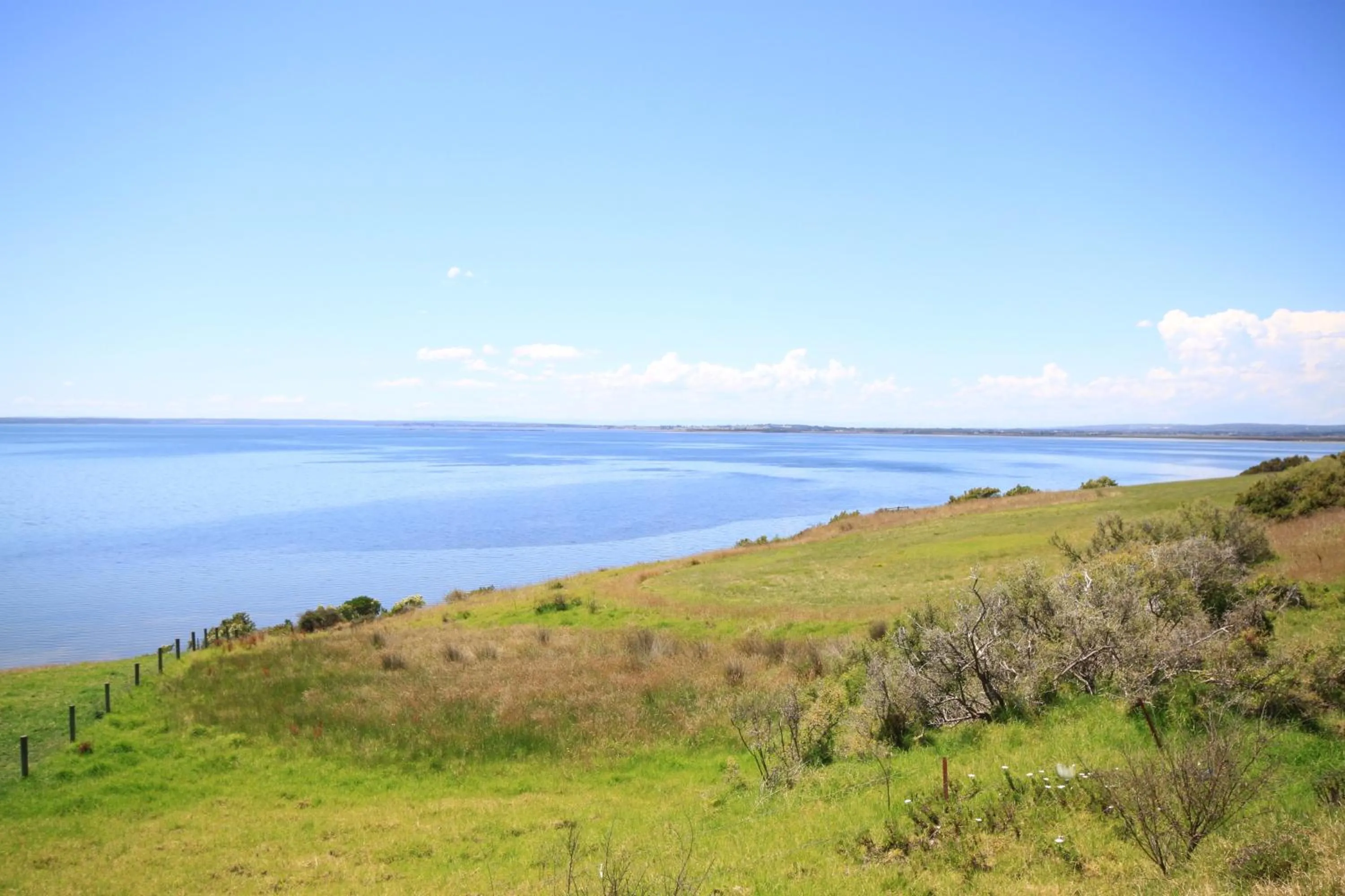 Pelicans Motel San Remo