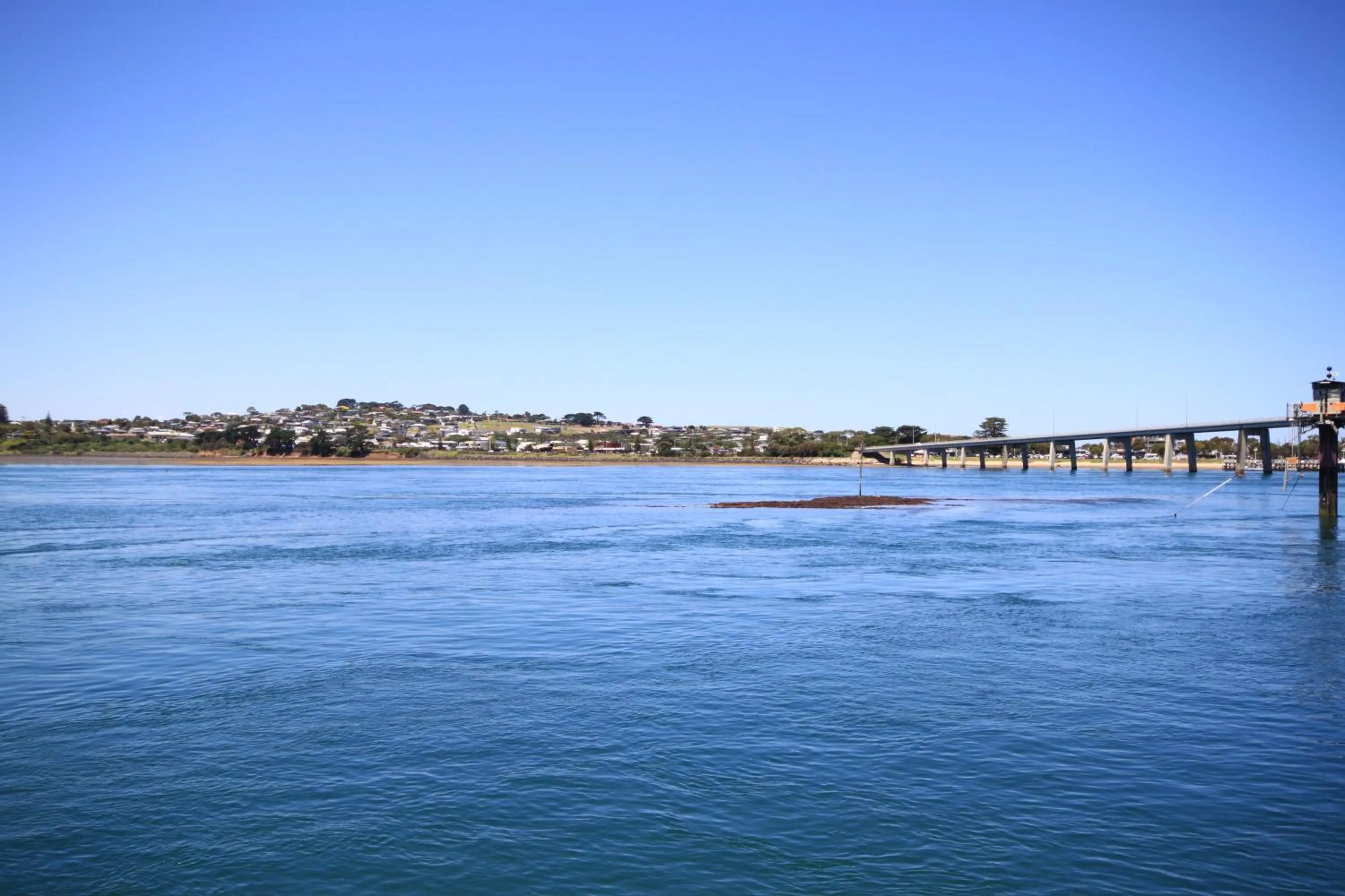 Pelicans Motel San Remo