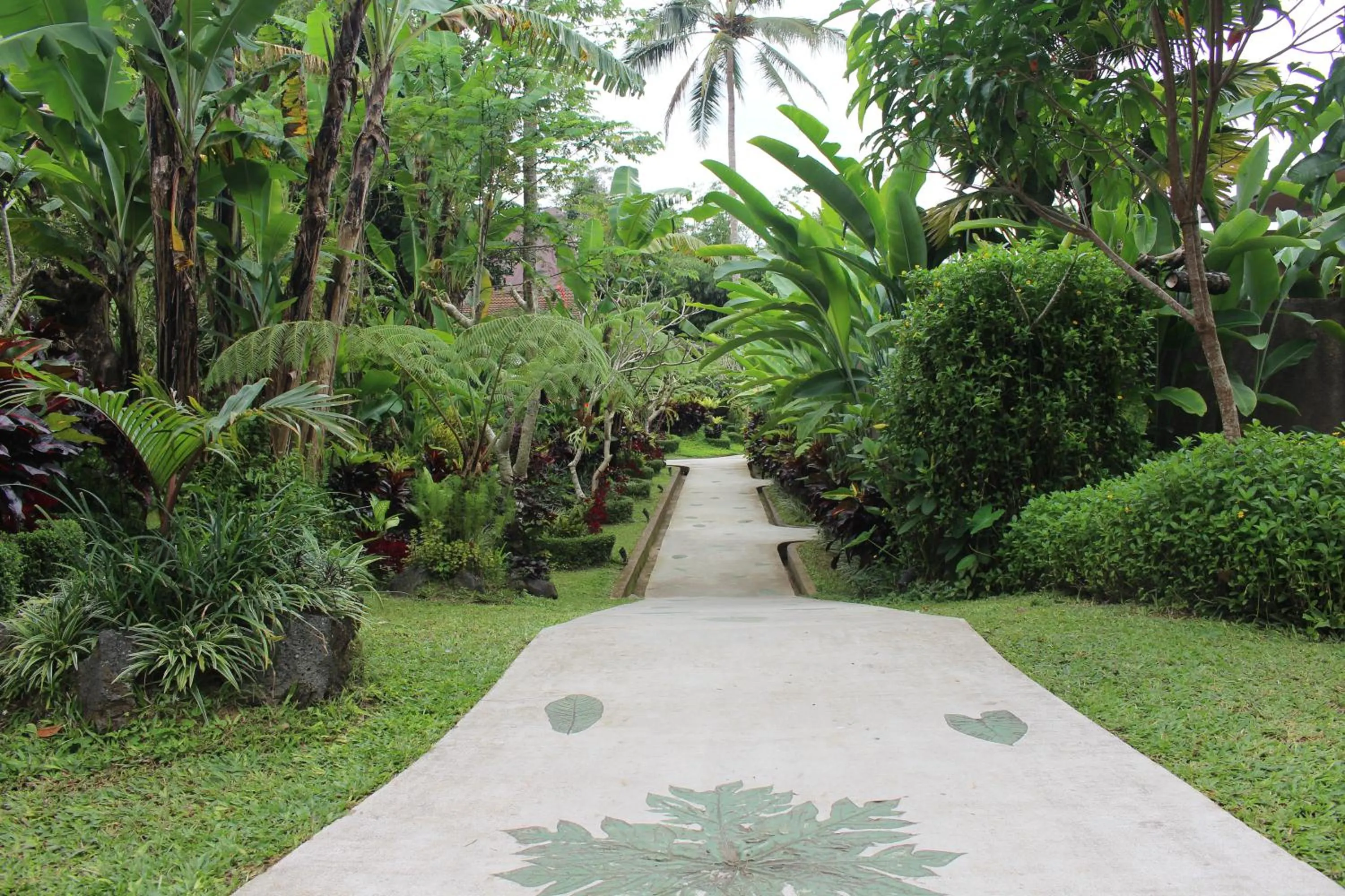 Garden in Senetan Villas and Spa Resort