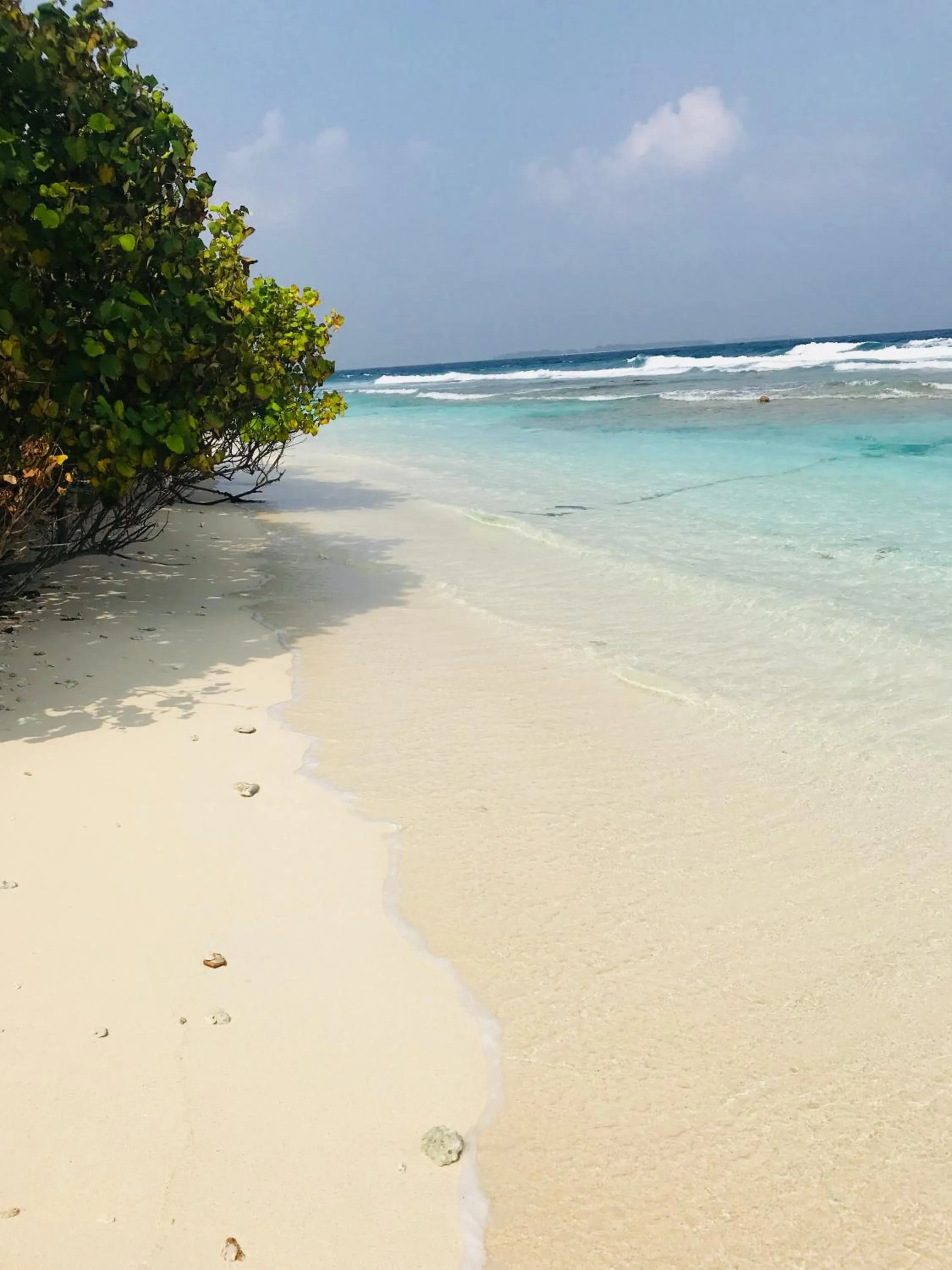 Natural landscape in Bon Abri Maldives