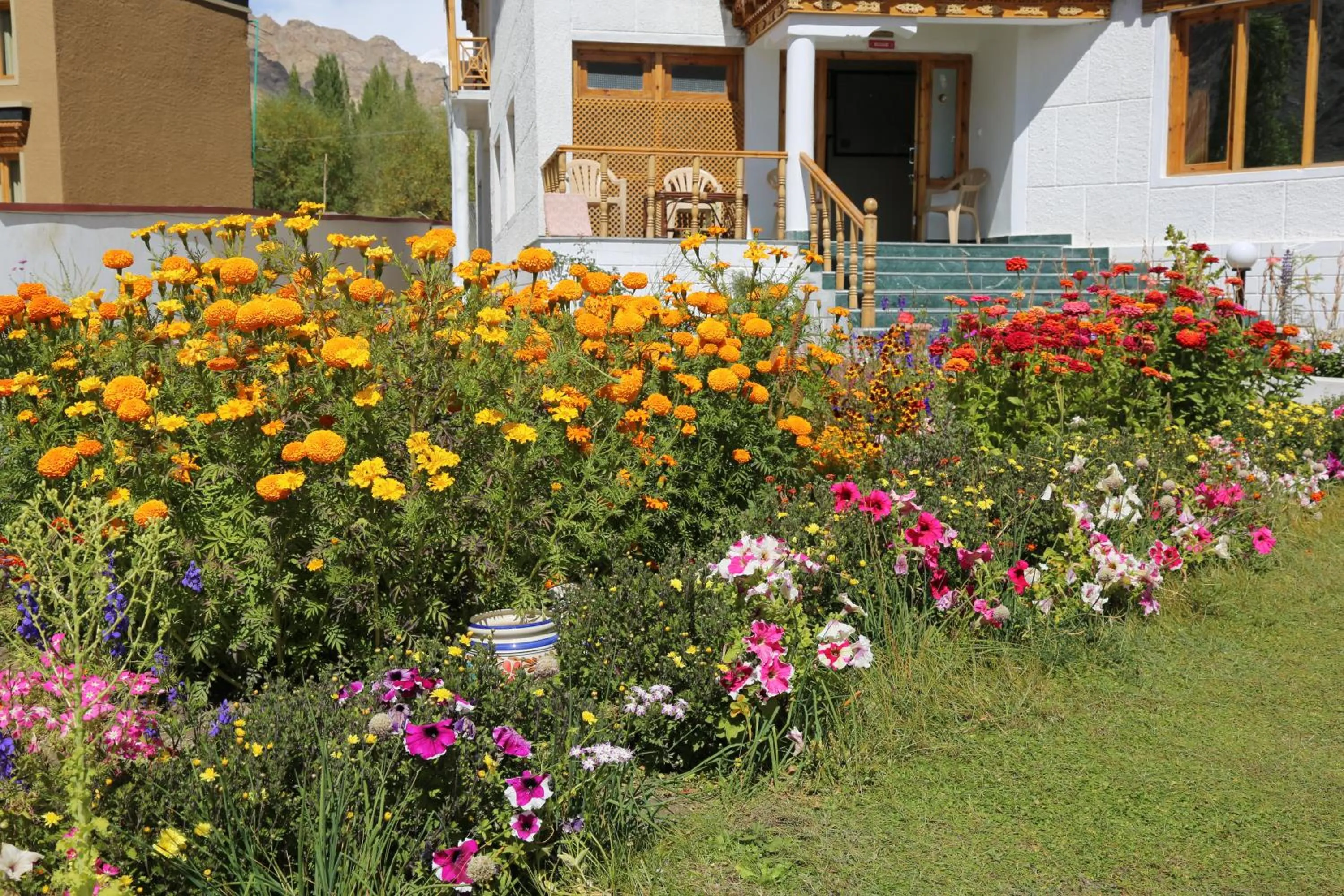 Spring in Ladakh Himalayan Retreat