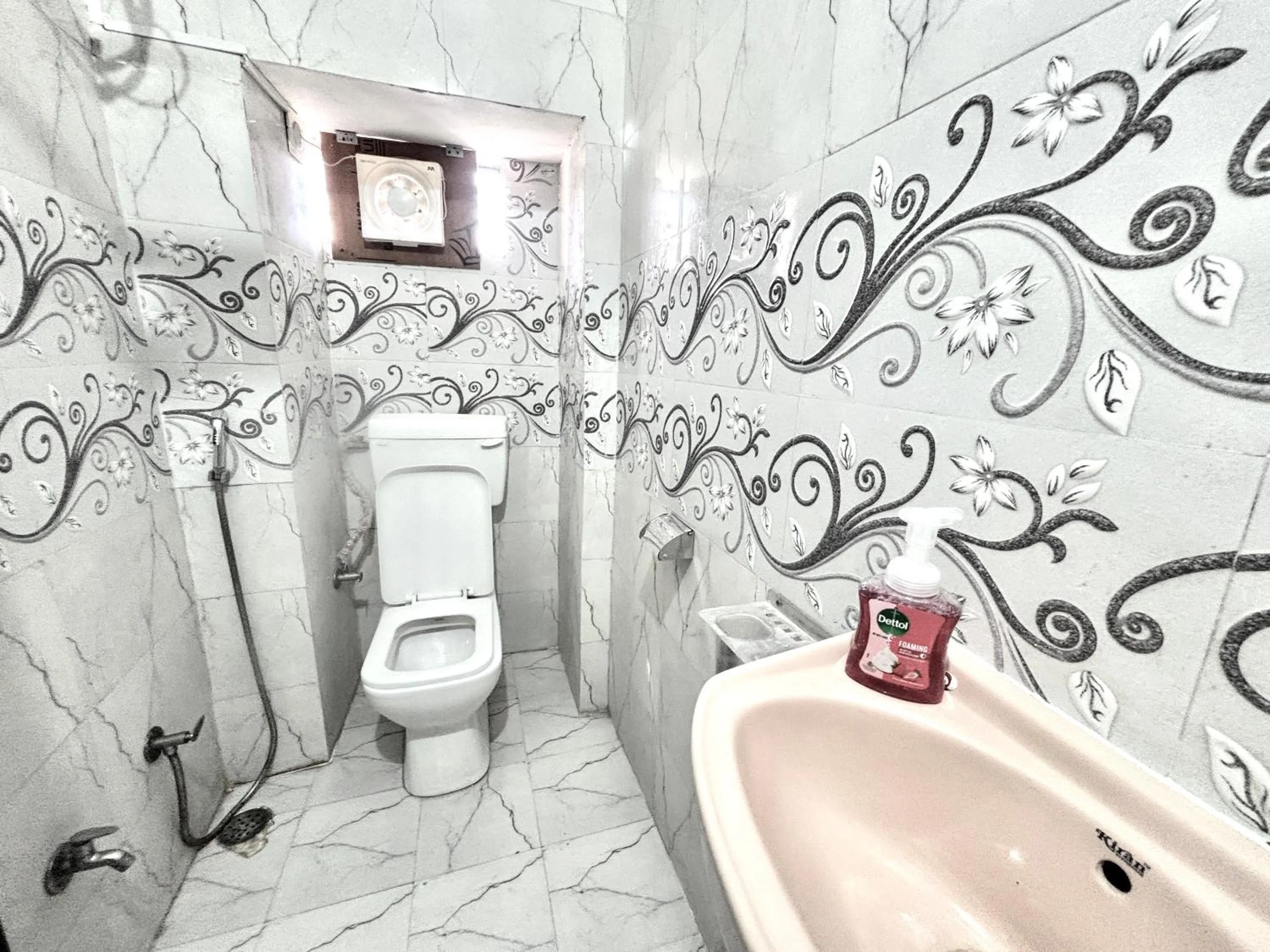 Multiple Stories, Udaipur