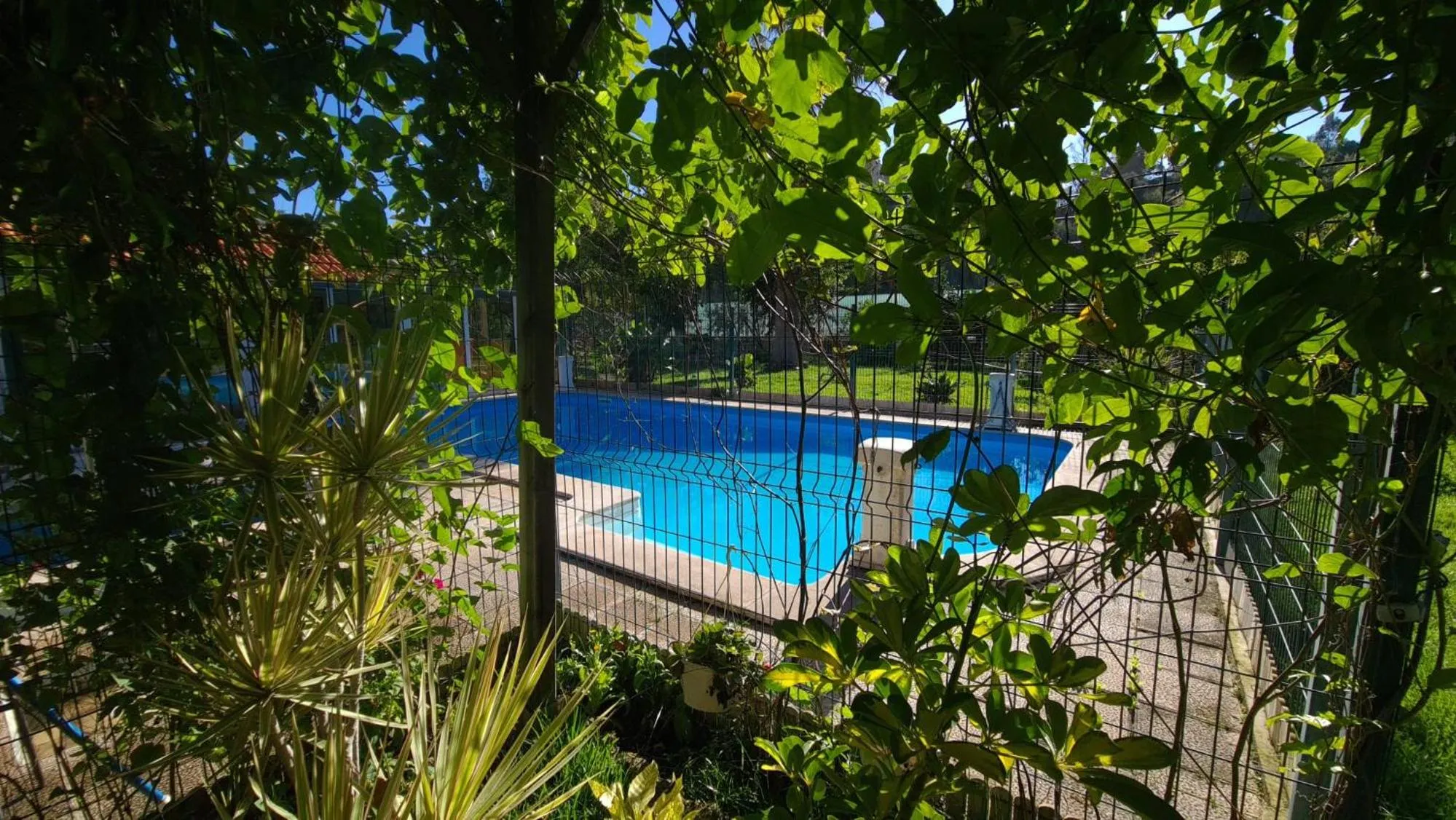 Swimming pool in Hostel Jardins de São Luís