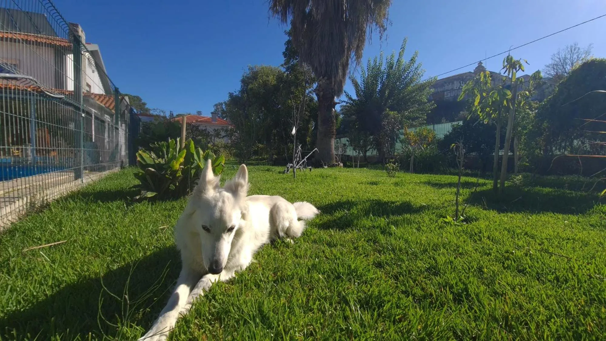 Garden in Hostel Jardins de São Luís