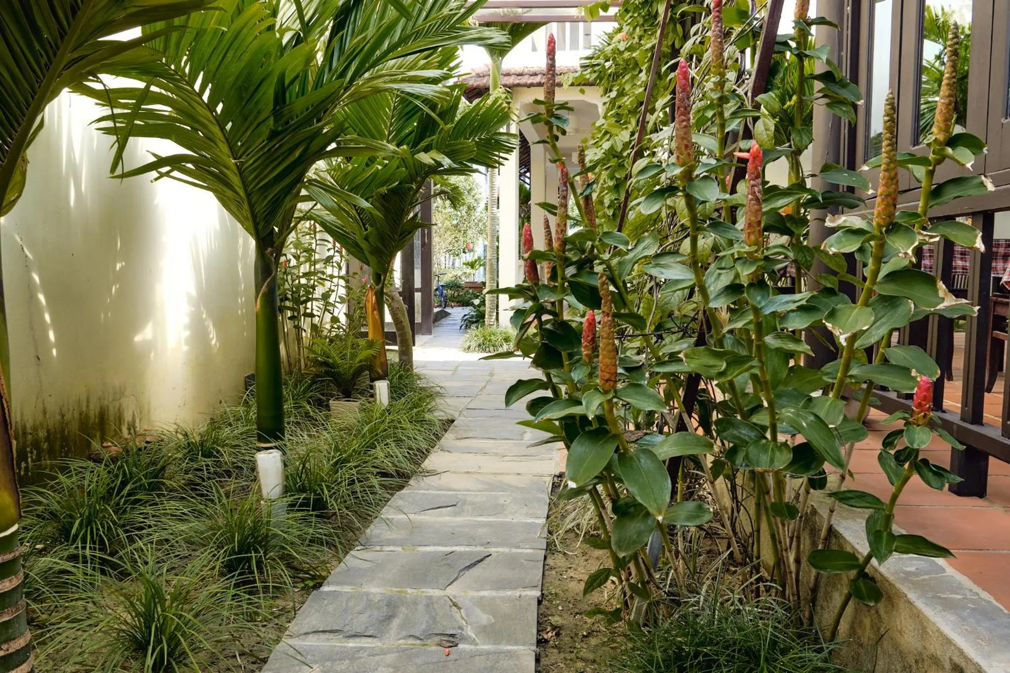Garden in Hoi An Holiday Villa