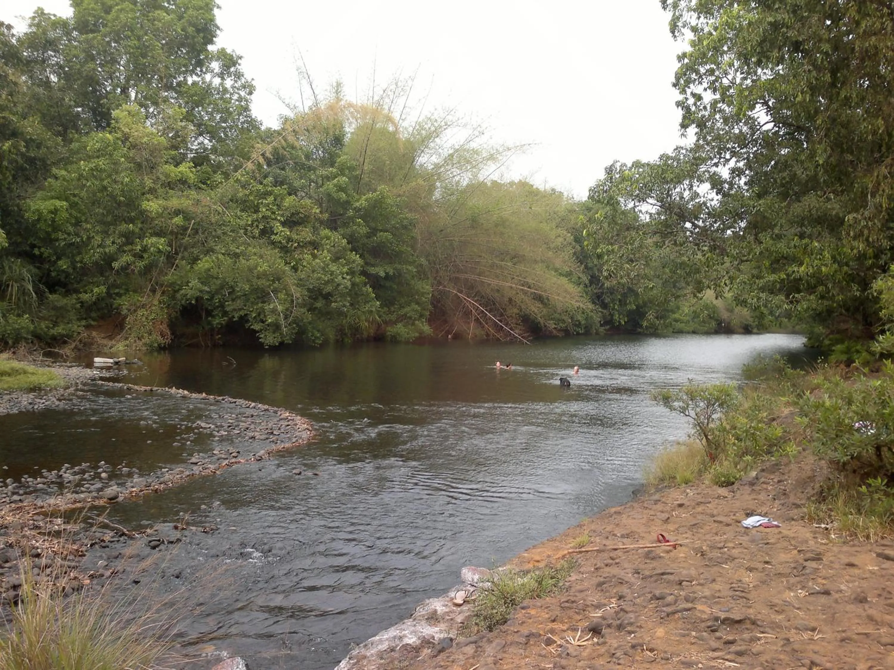 Natural landscape in Dudhsagar Plantation