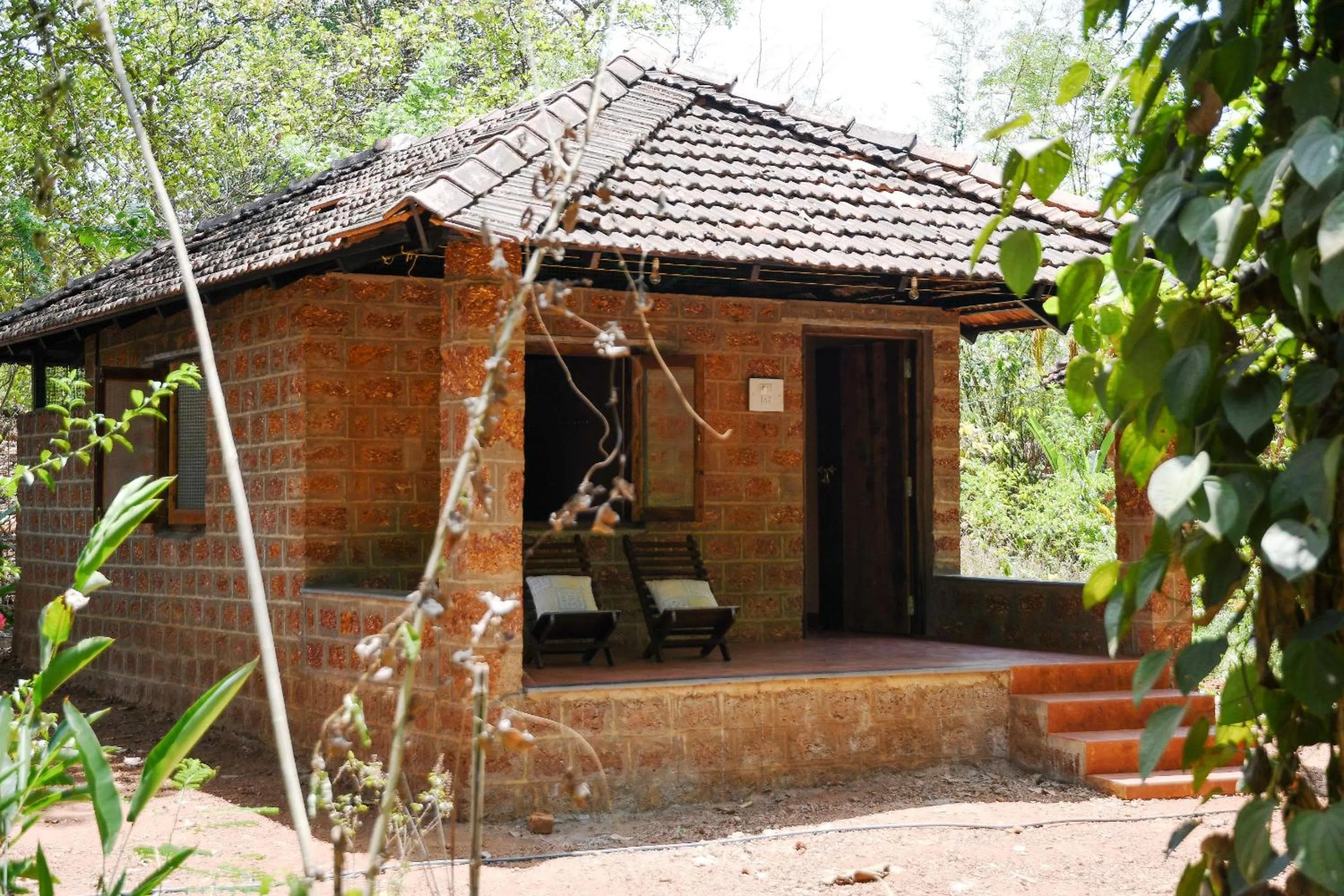 Garden in Dudhsagar Plantation