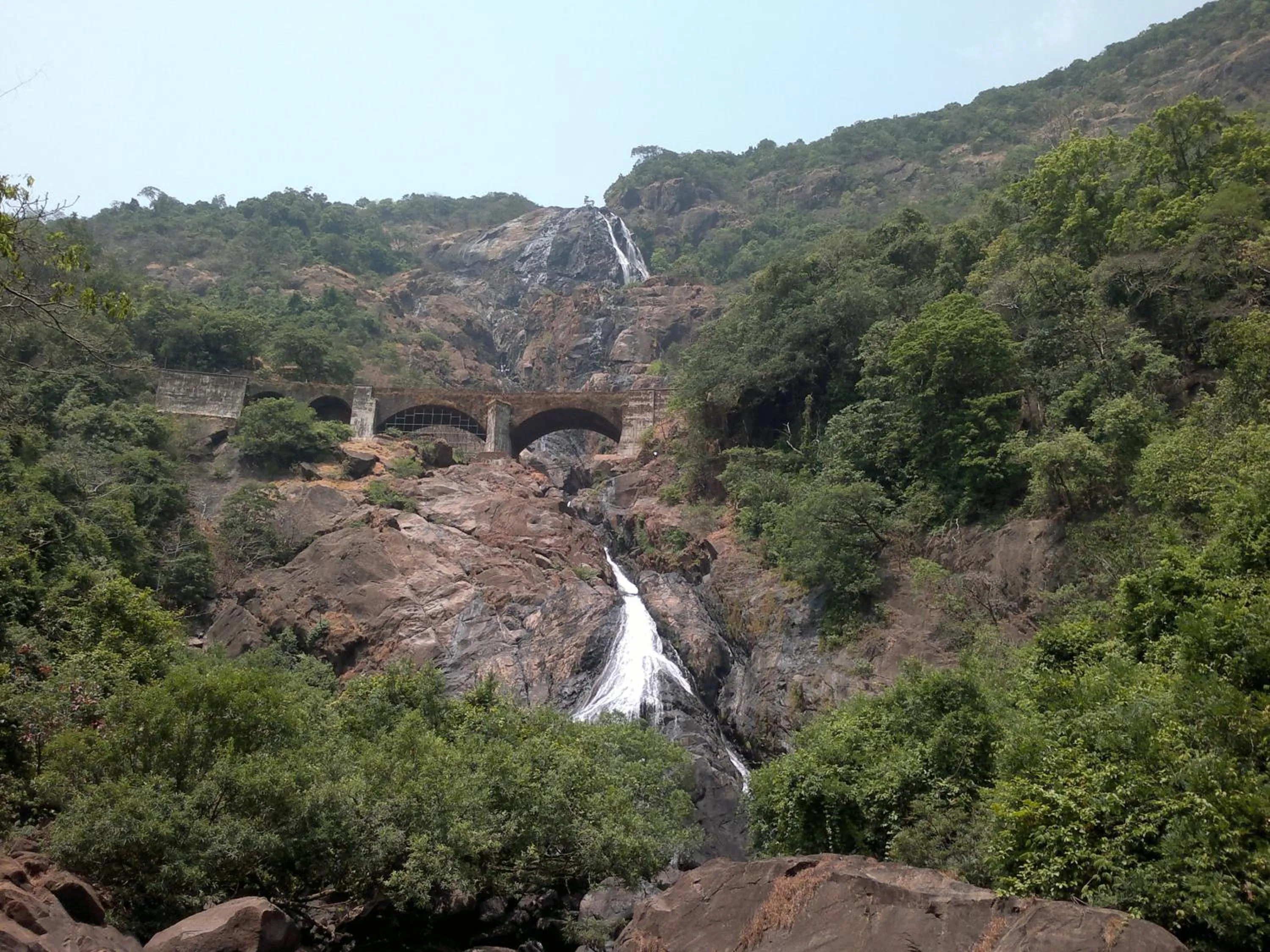 Off site in Dudhsagar Plantation