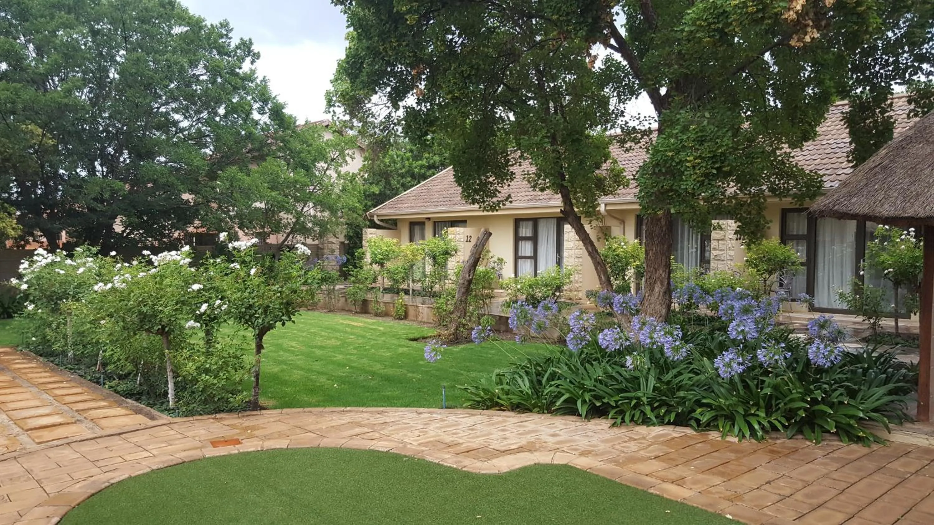 Other in Acacia Lodge