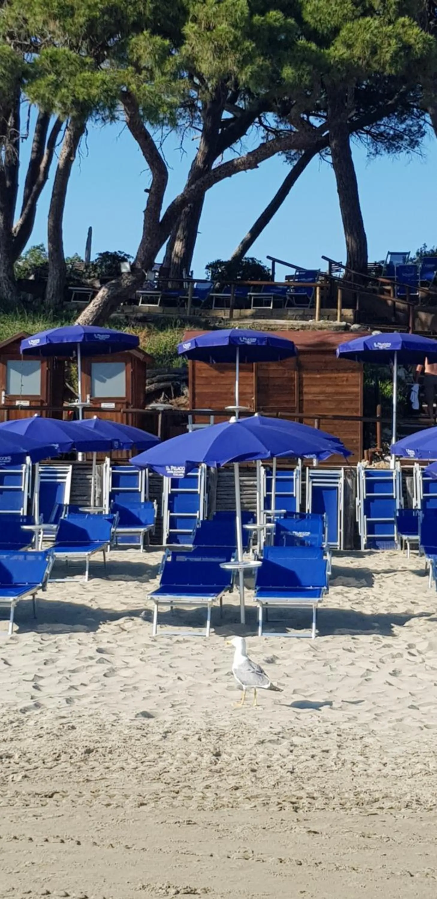 Beach in Il Pelagone Hotel & Golf Resort Toscana