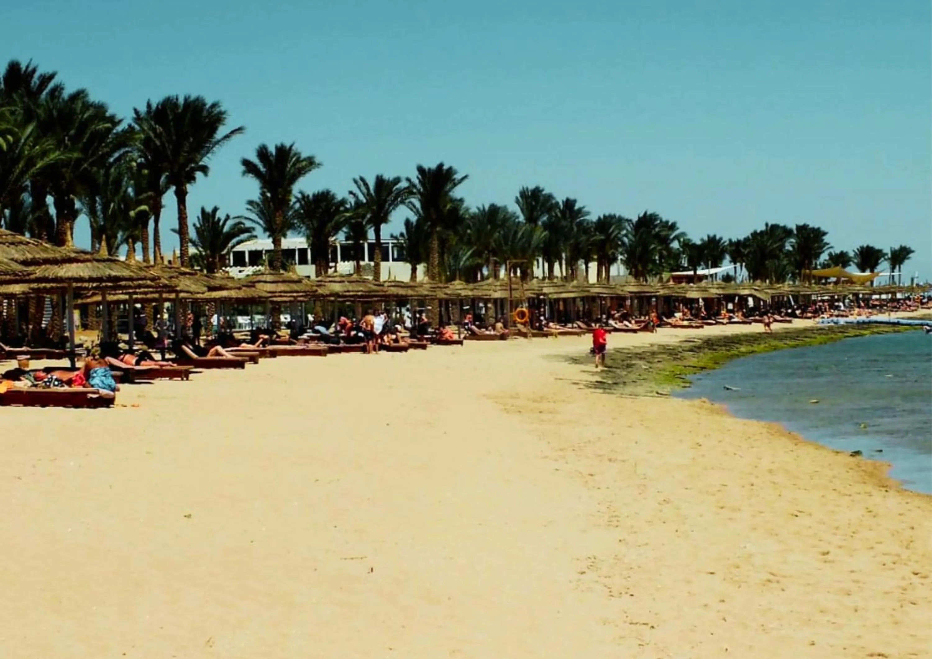 Beach in Luxury Sharm Hills Resort