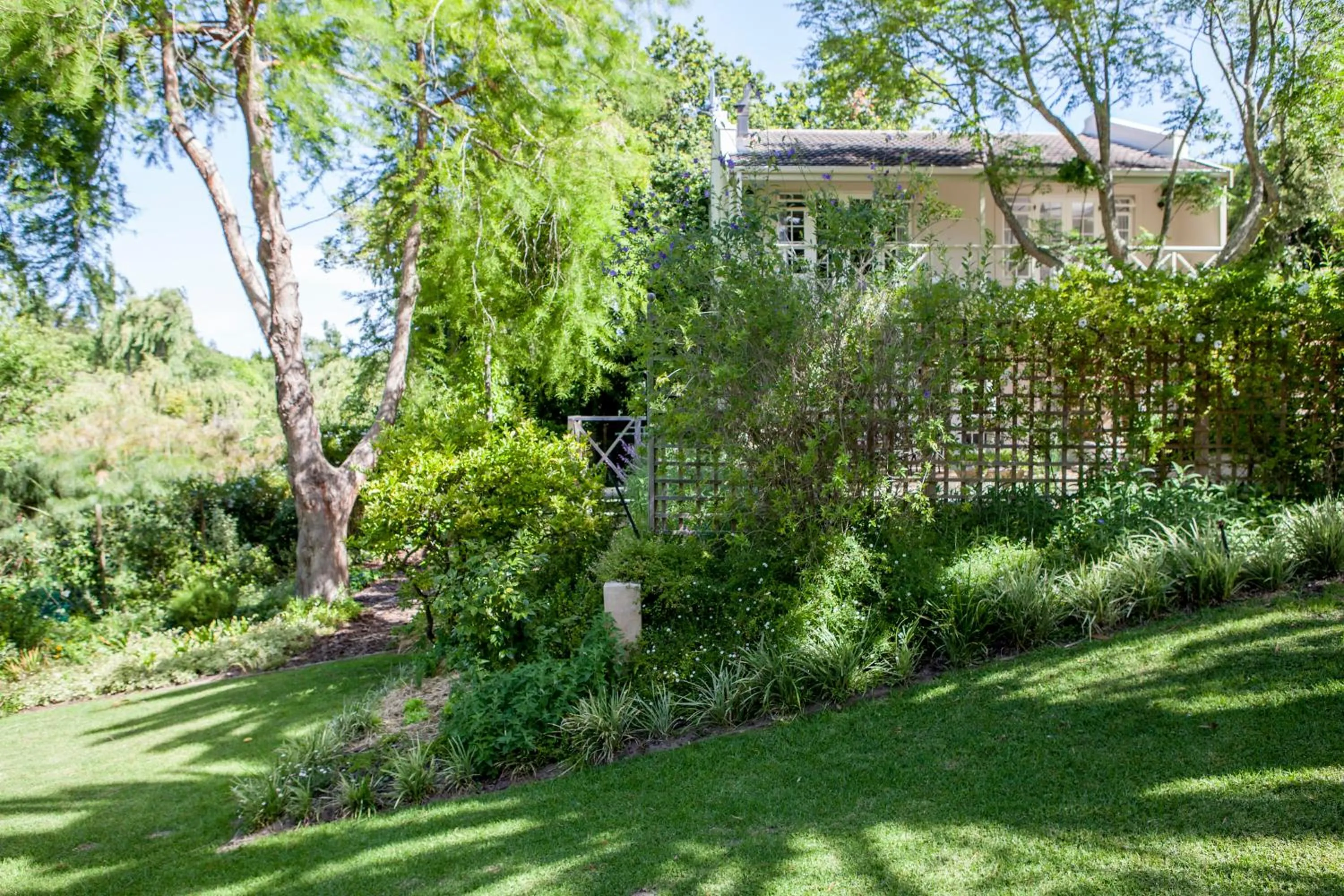 Garden in 33 Strawberry Lane - Studio and Cottage