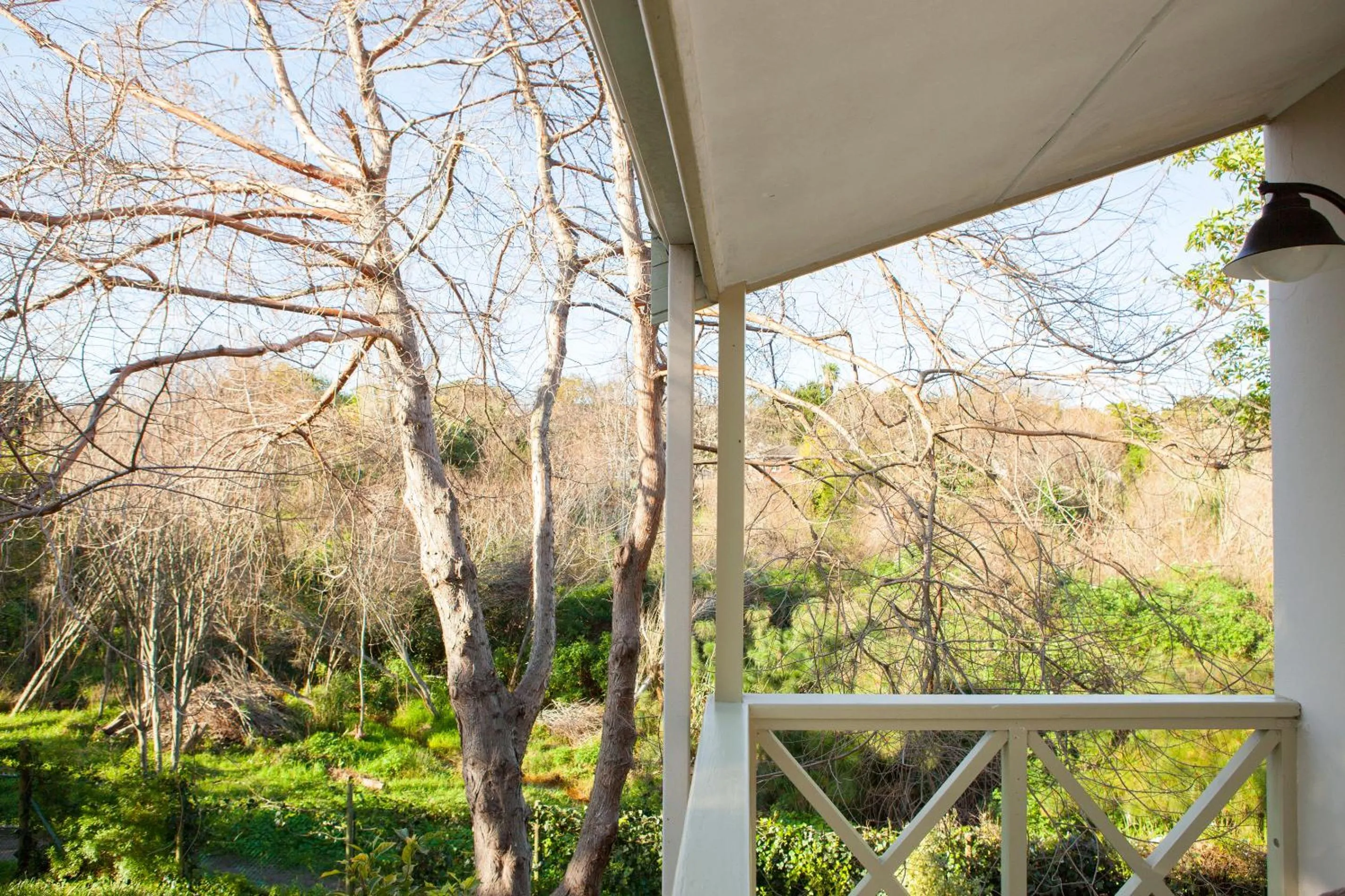 Natural landscape in 33 Strawberry Lane - Studio and Cottage