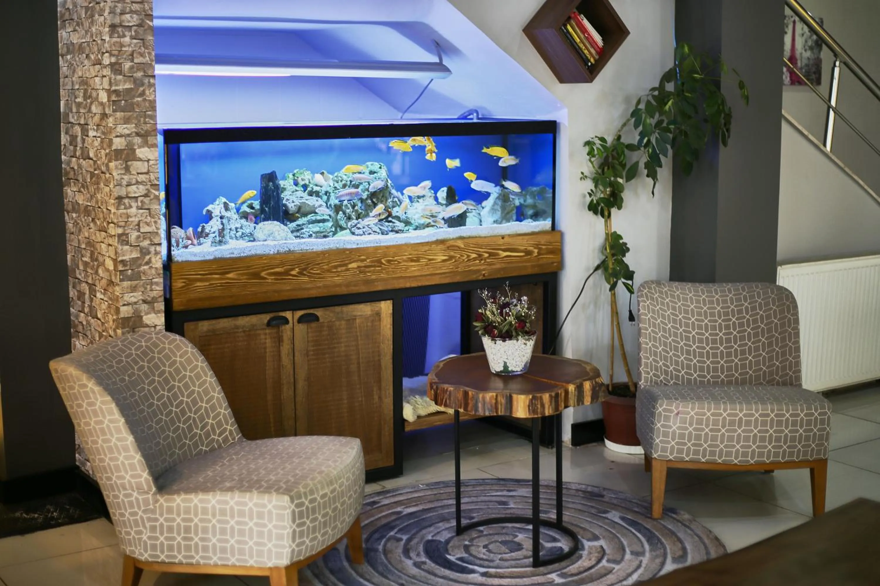 Property building in Zengin City Hotel