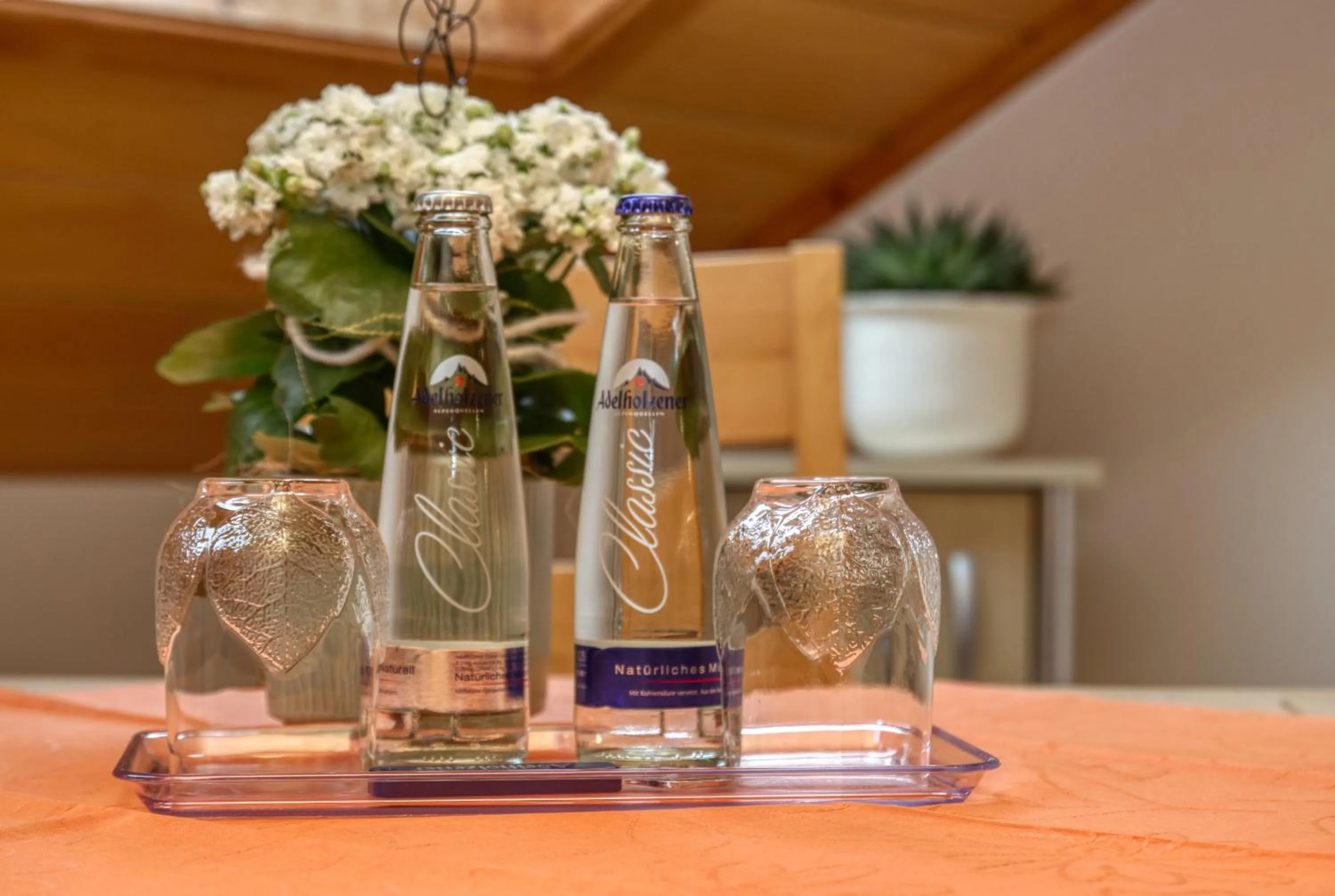 Hotel "Haus am Berg"