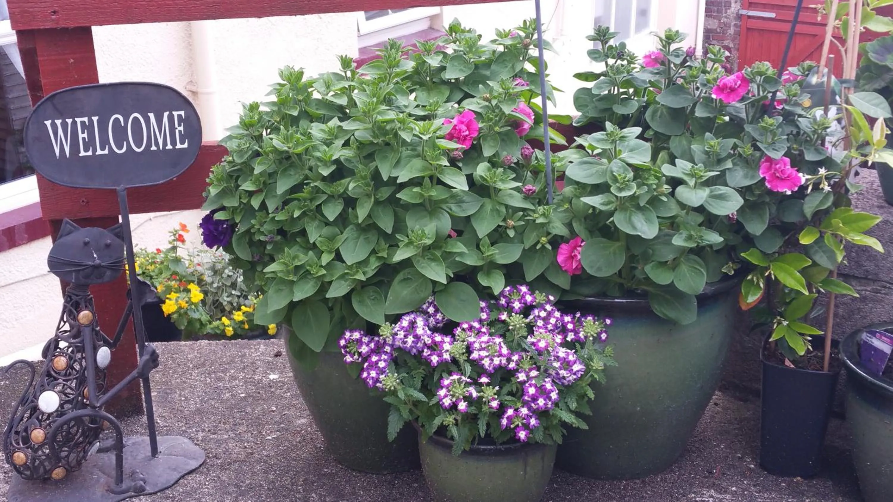 Patio in Grosvenor House Hotel