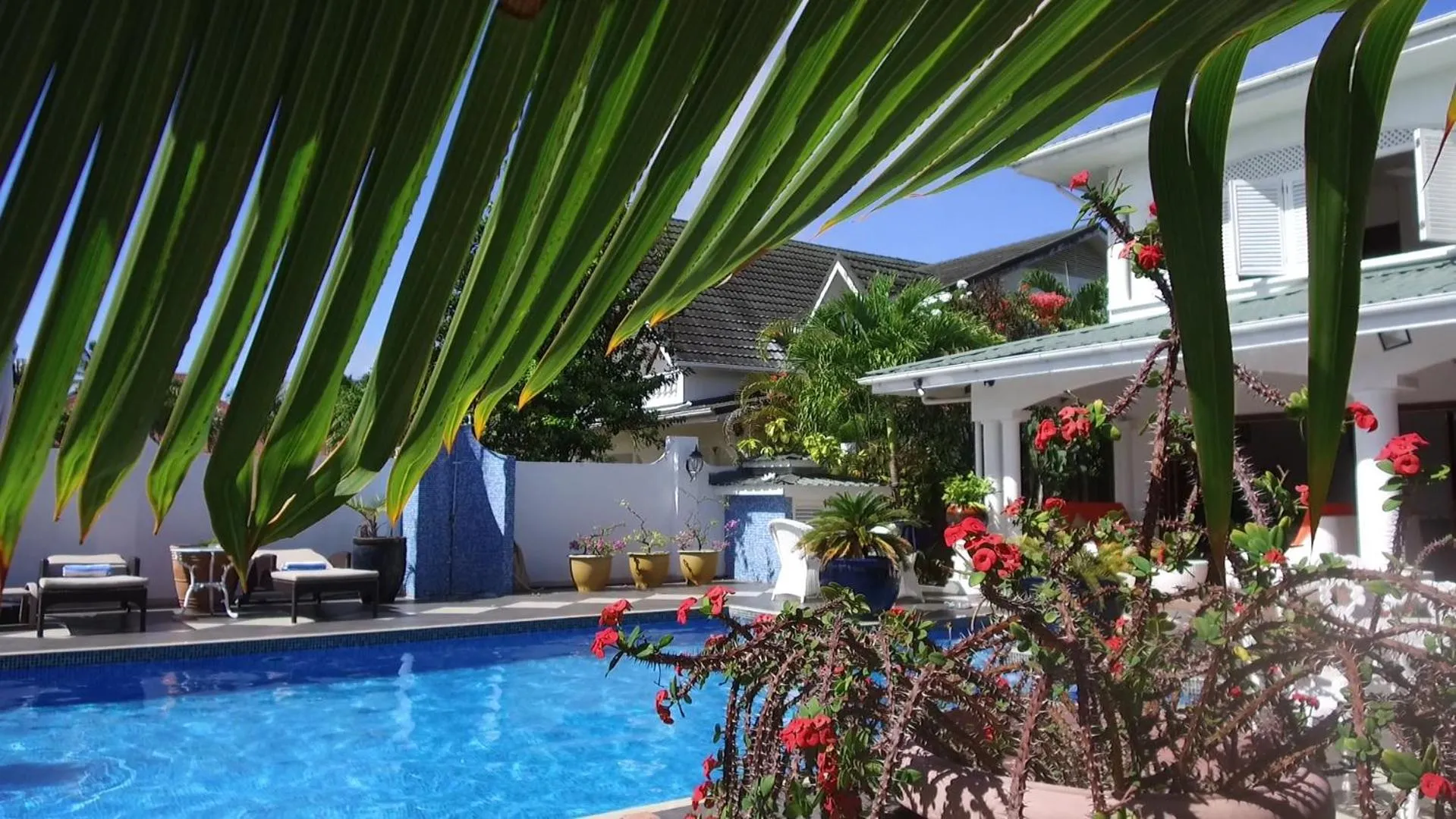 Swimming pool in Le Bonheur Villa