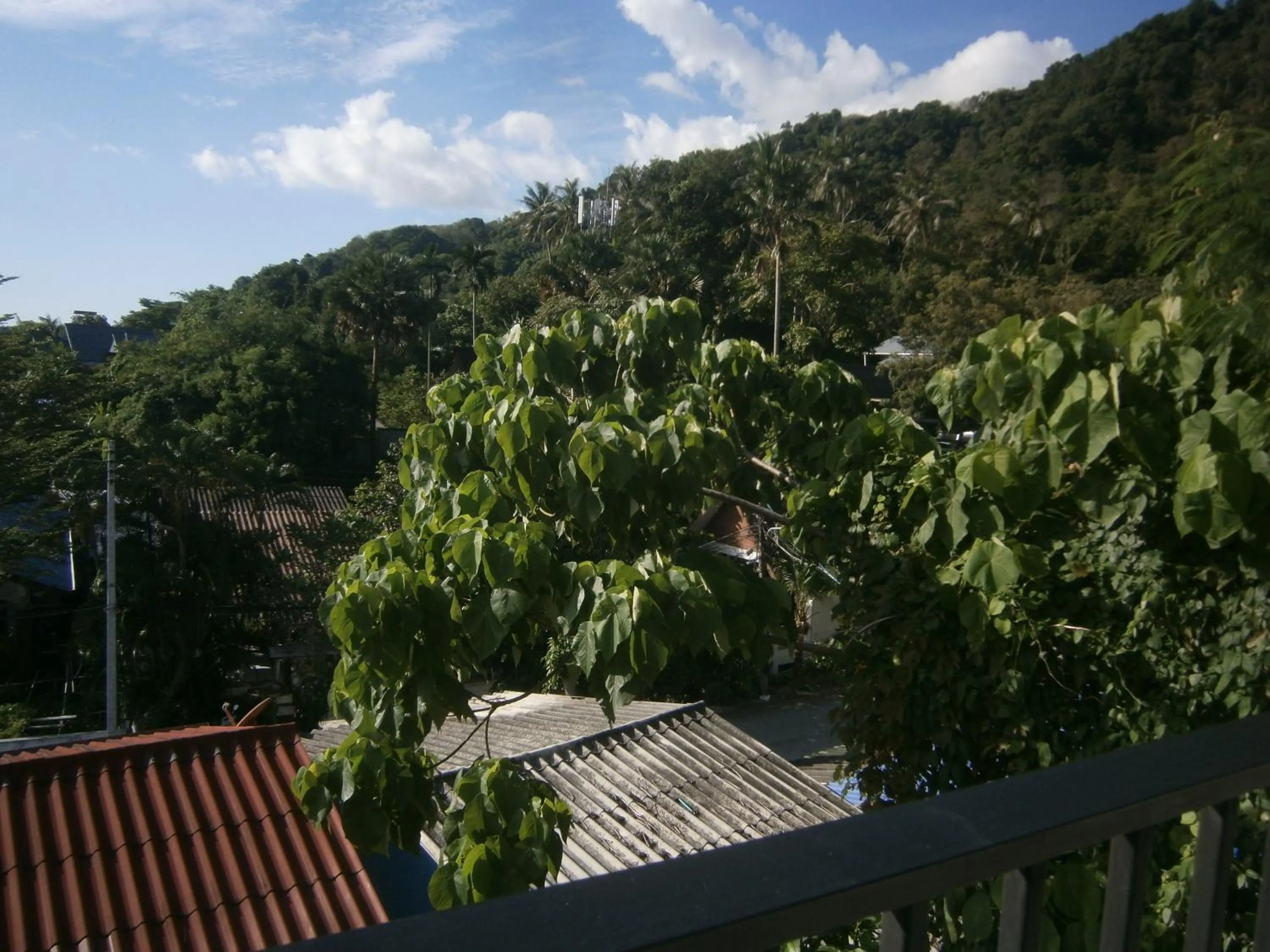 Natural landscape in Infinity Boutique Hotel Kata Beach
