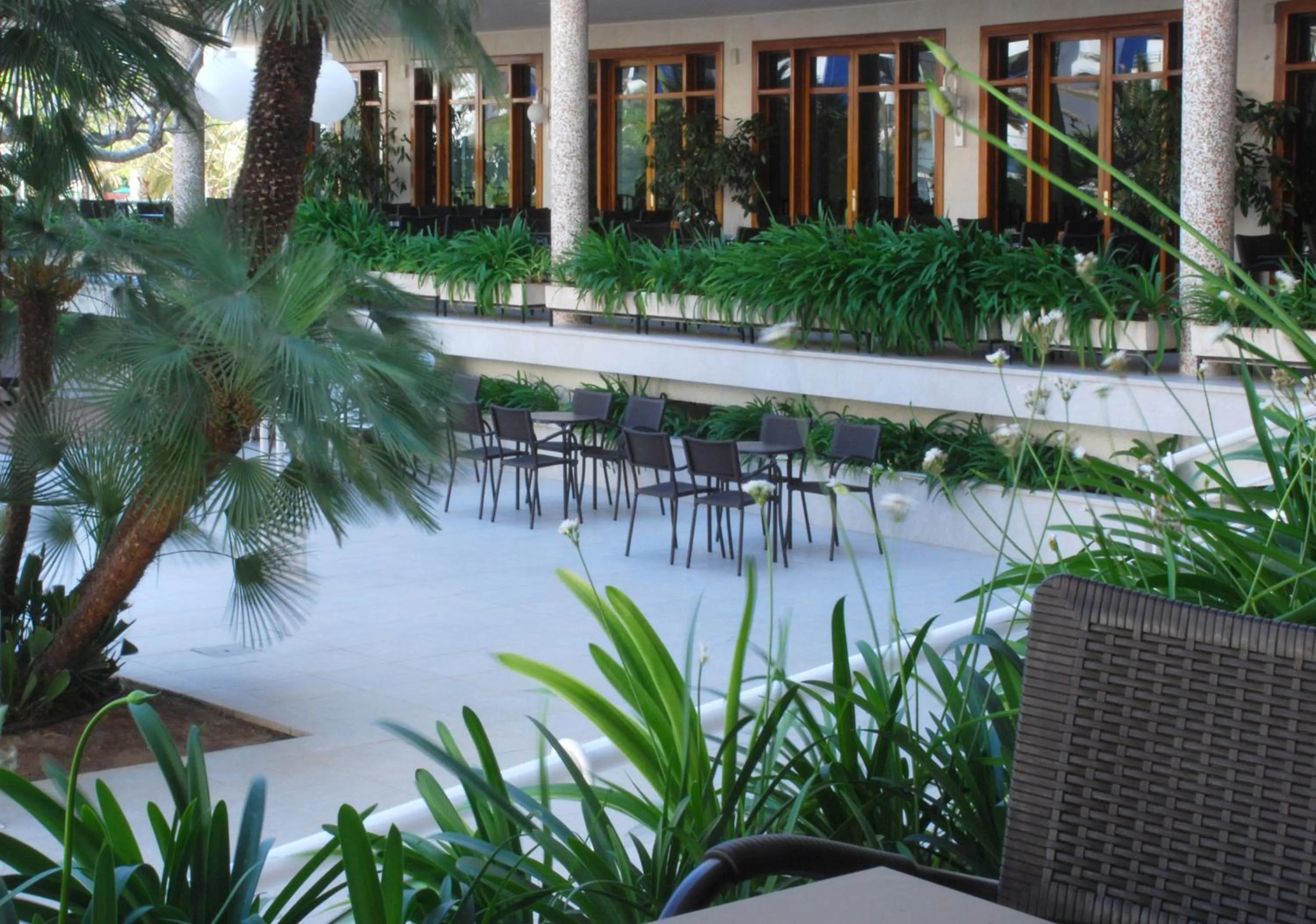 Garden in Hotel Los Robles