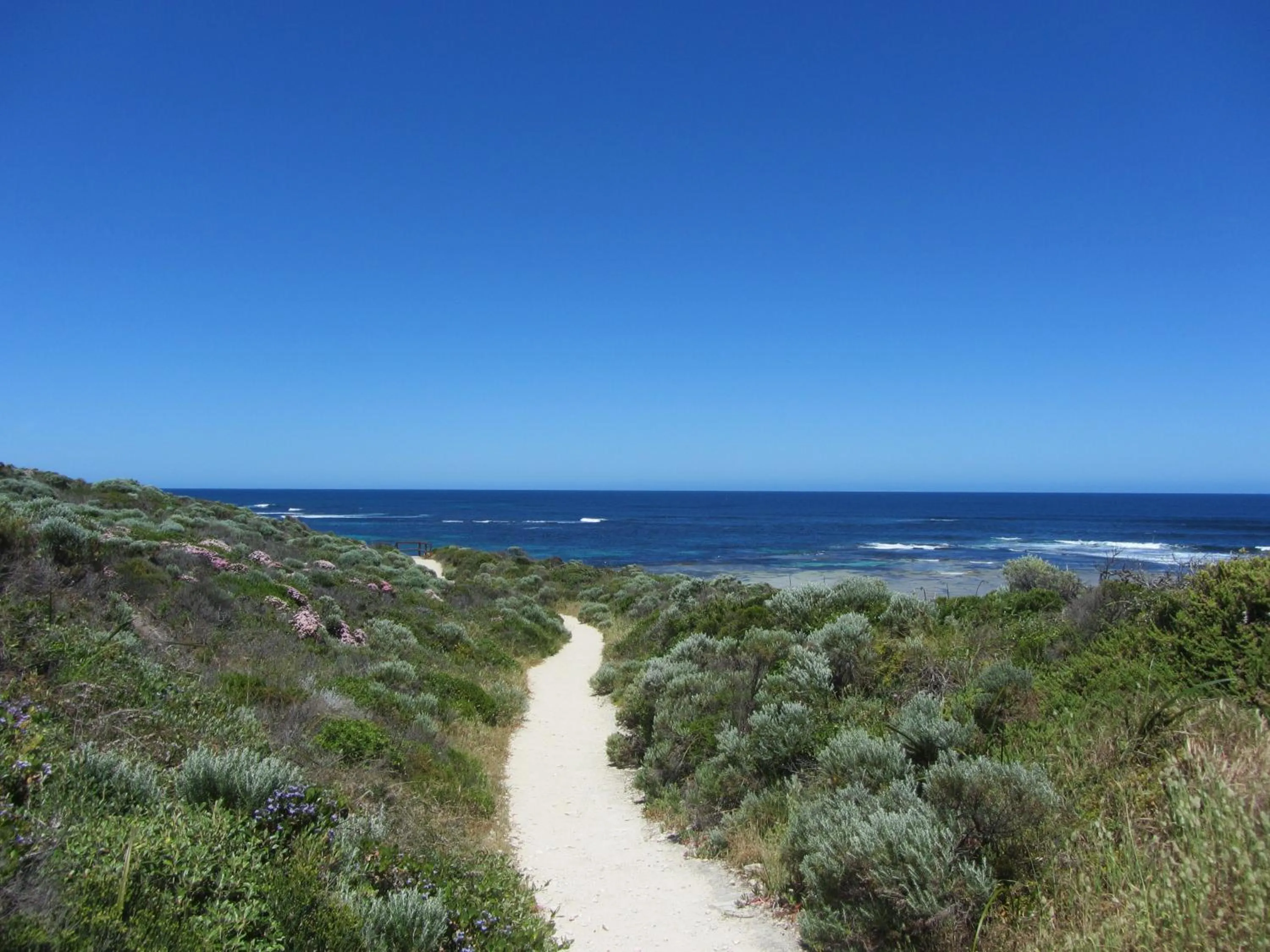 Natural landscape in Margaret River Beach Apartments