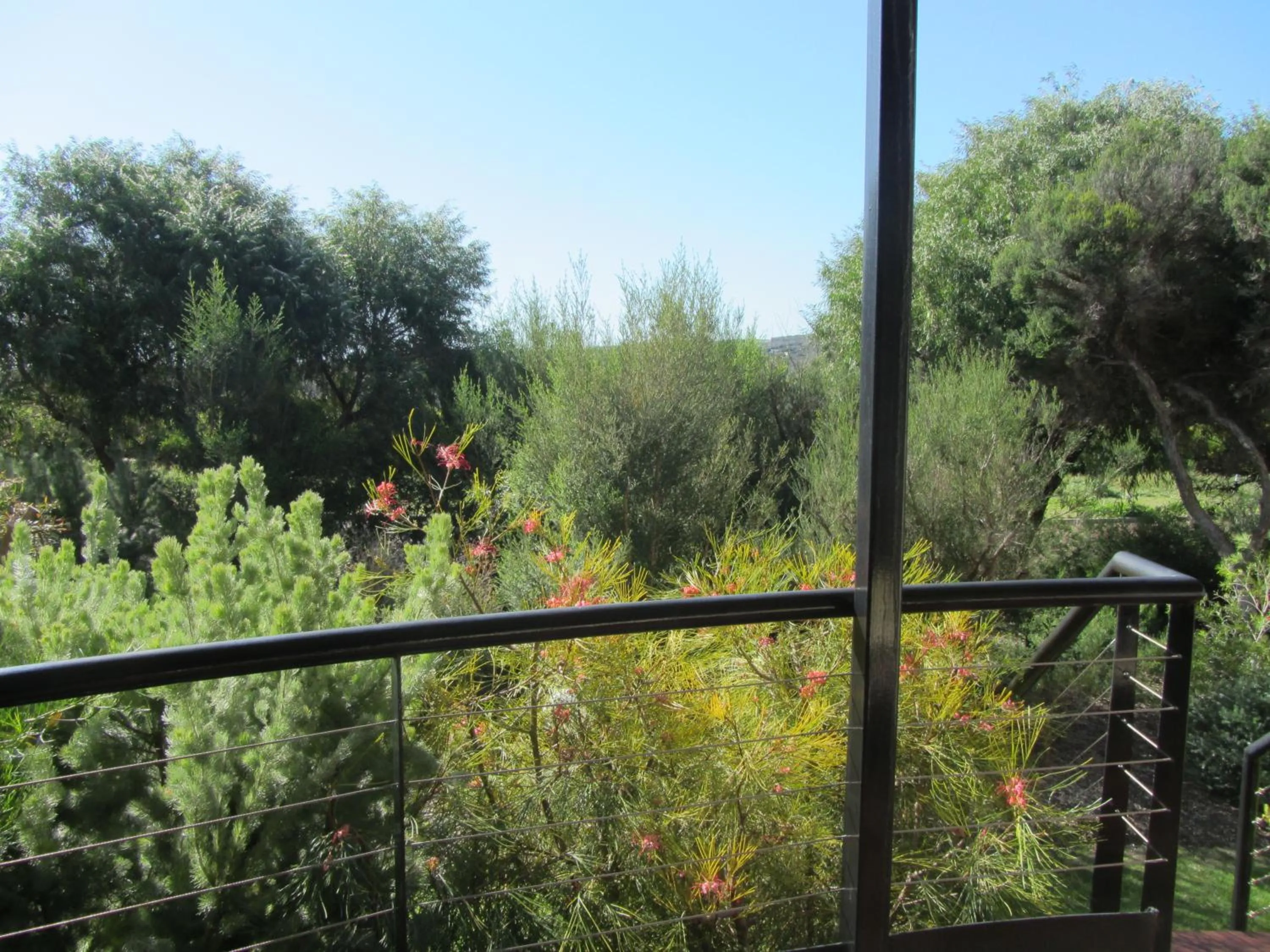 Garden view in Margaret River Beach Apartments