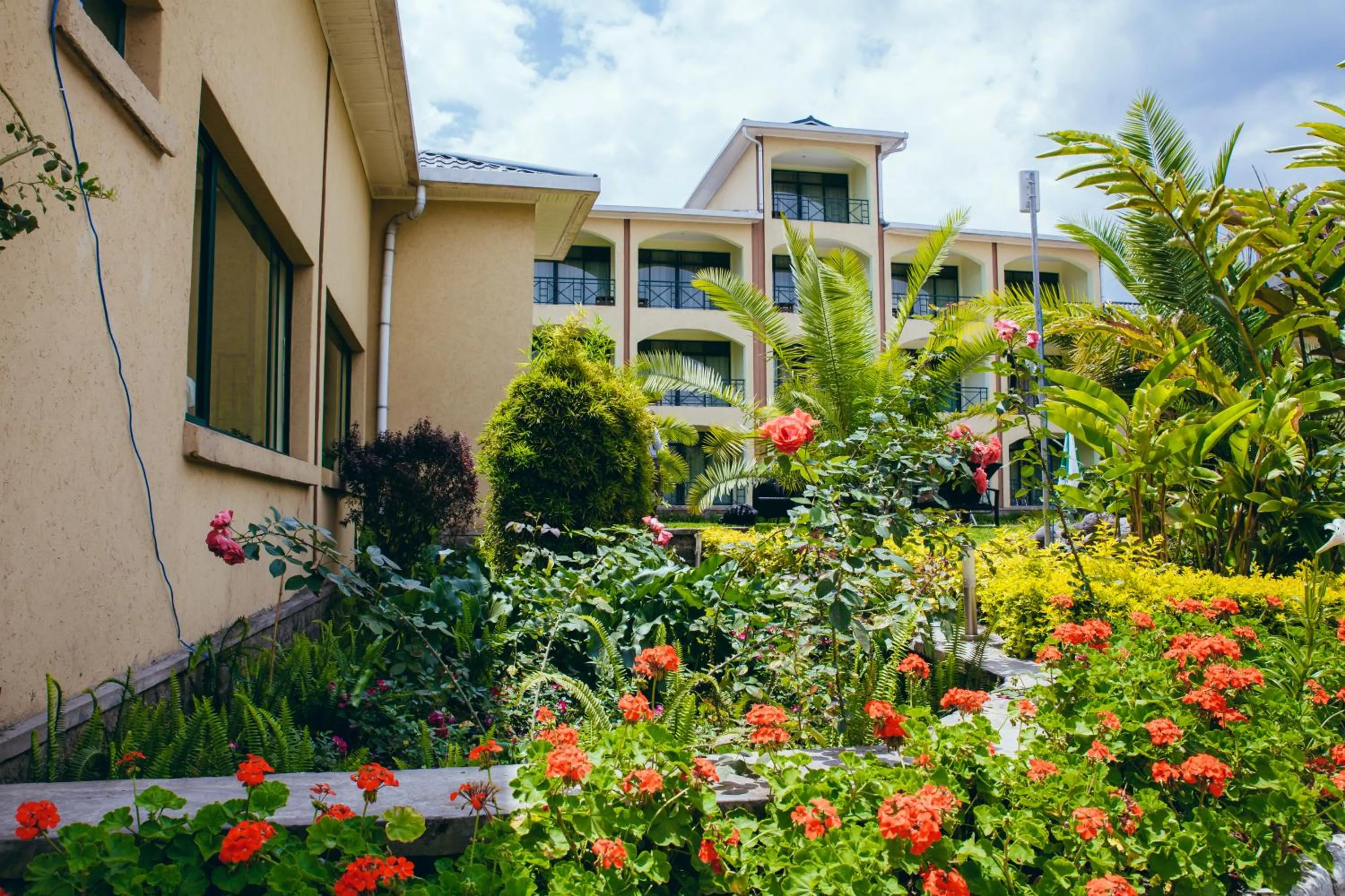 Garden in Gorillas Volcanoes Hotel