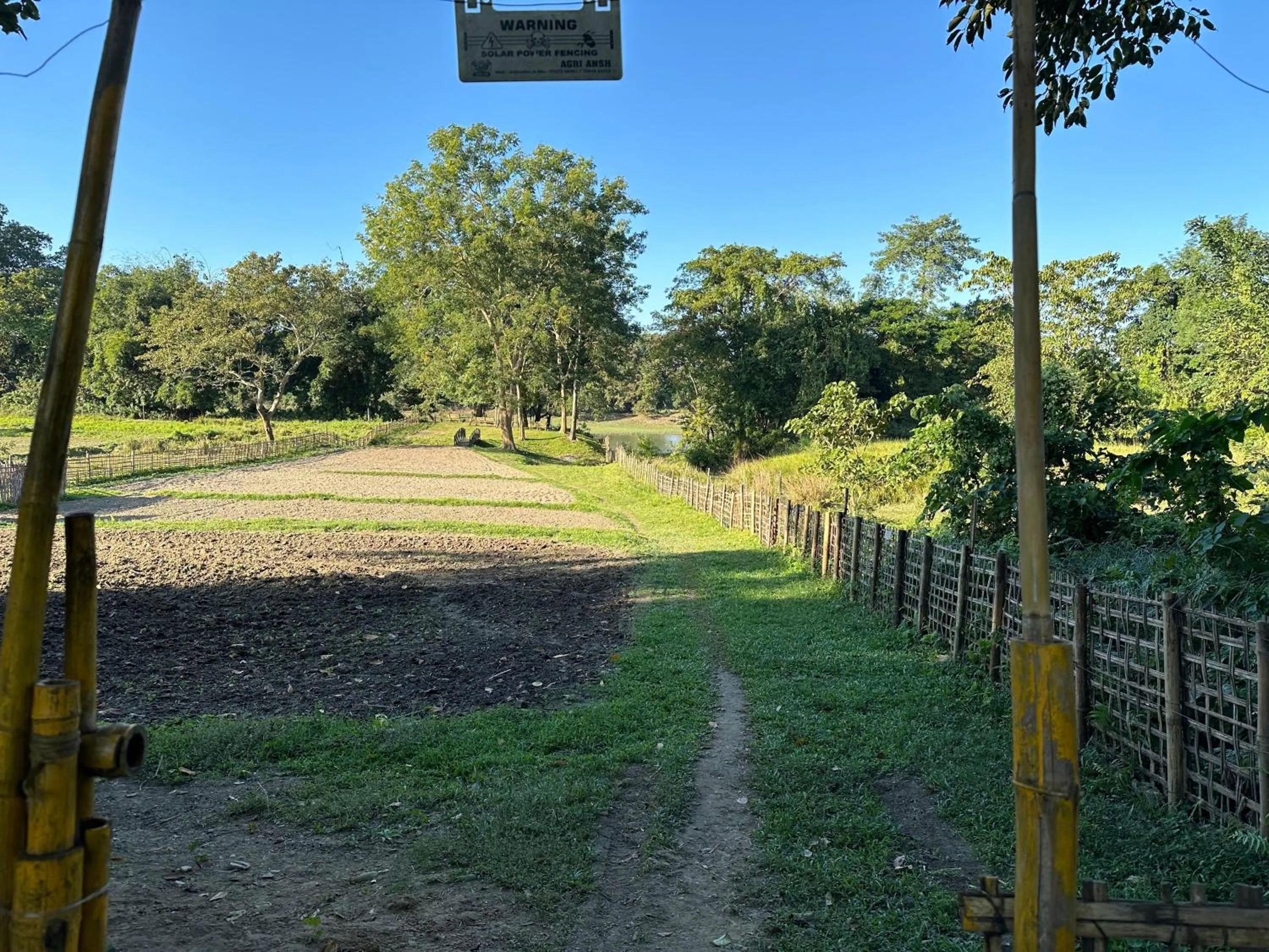 Garden in Jungleciti House, Kaziranga National Park