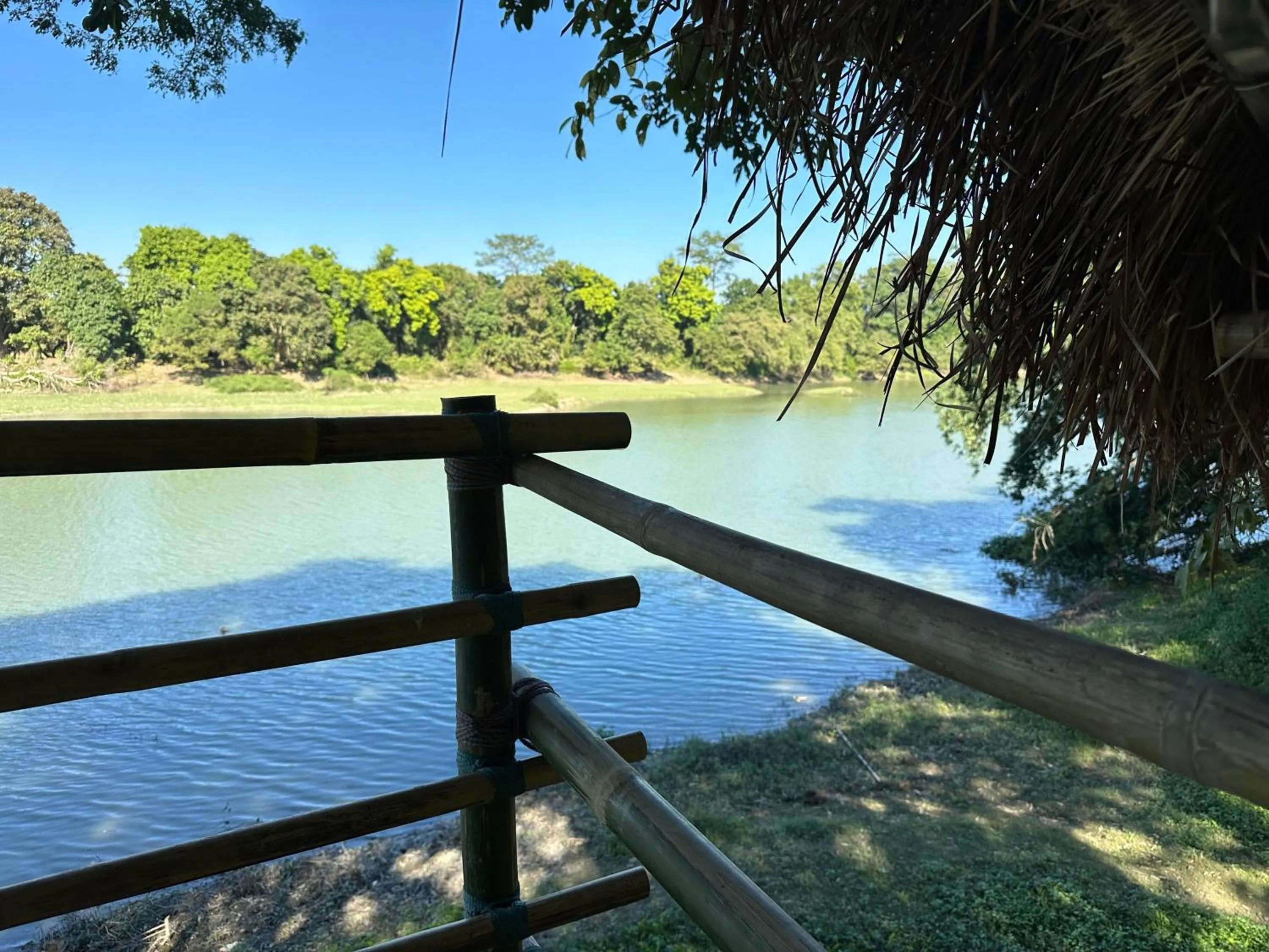 Natural landscape in Jungleciti House, Kaziranga National Park
