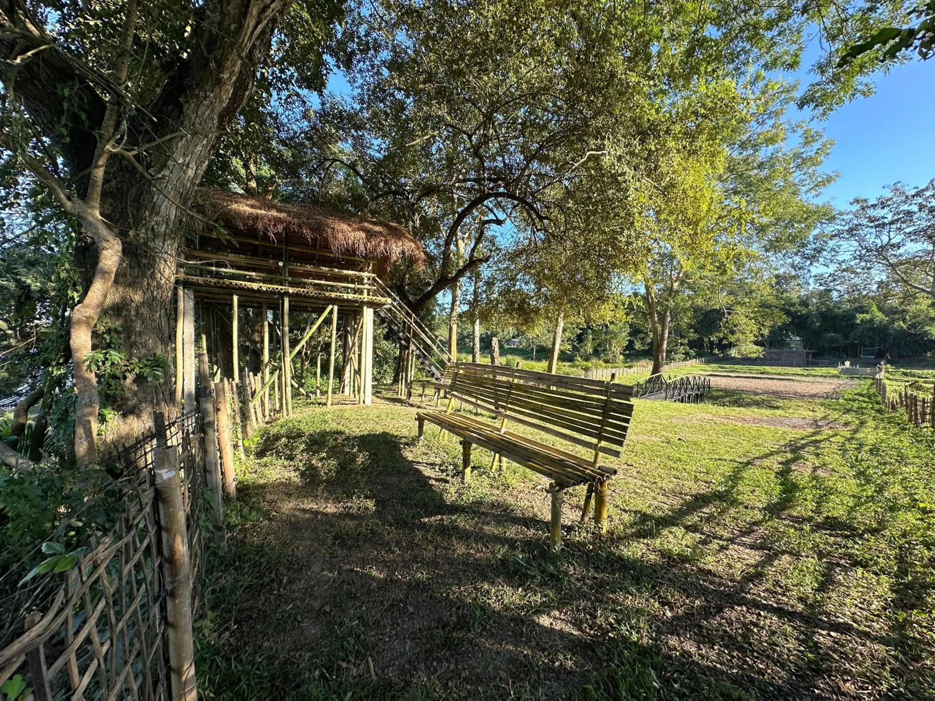 Garden in Jungleciti House, Kaziranga National Park