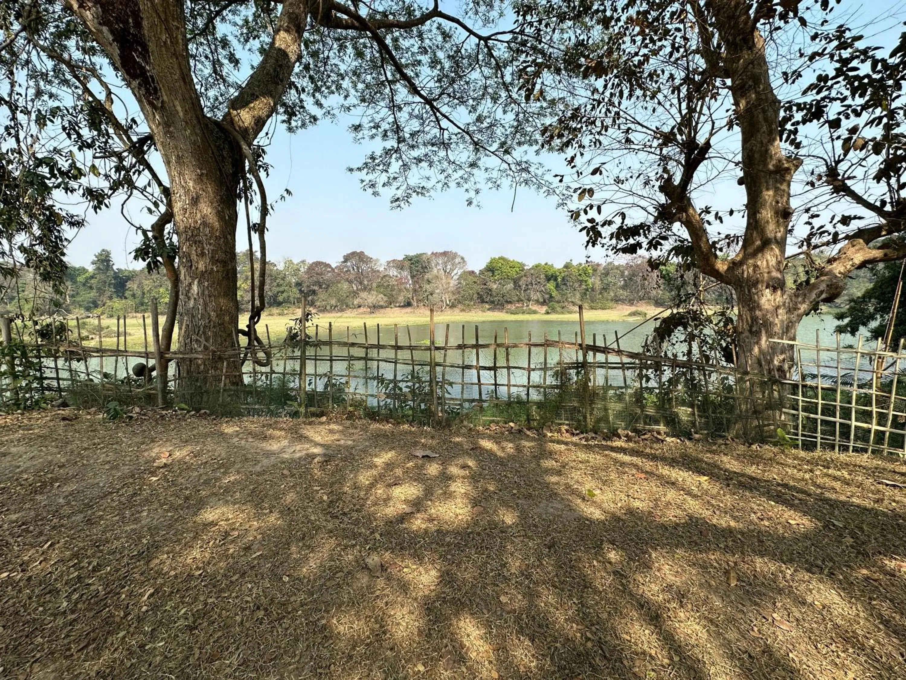 Natural landscape in Jungleciti House, Kaziranga National Park