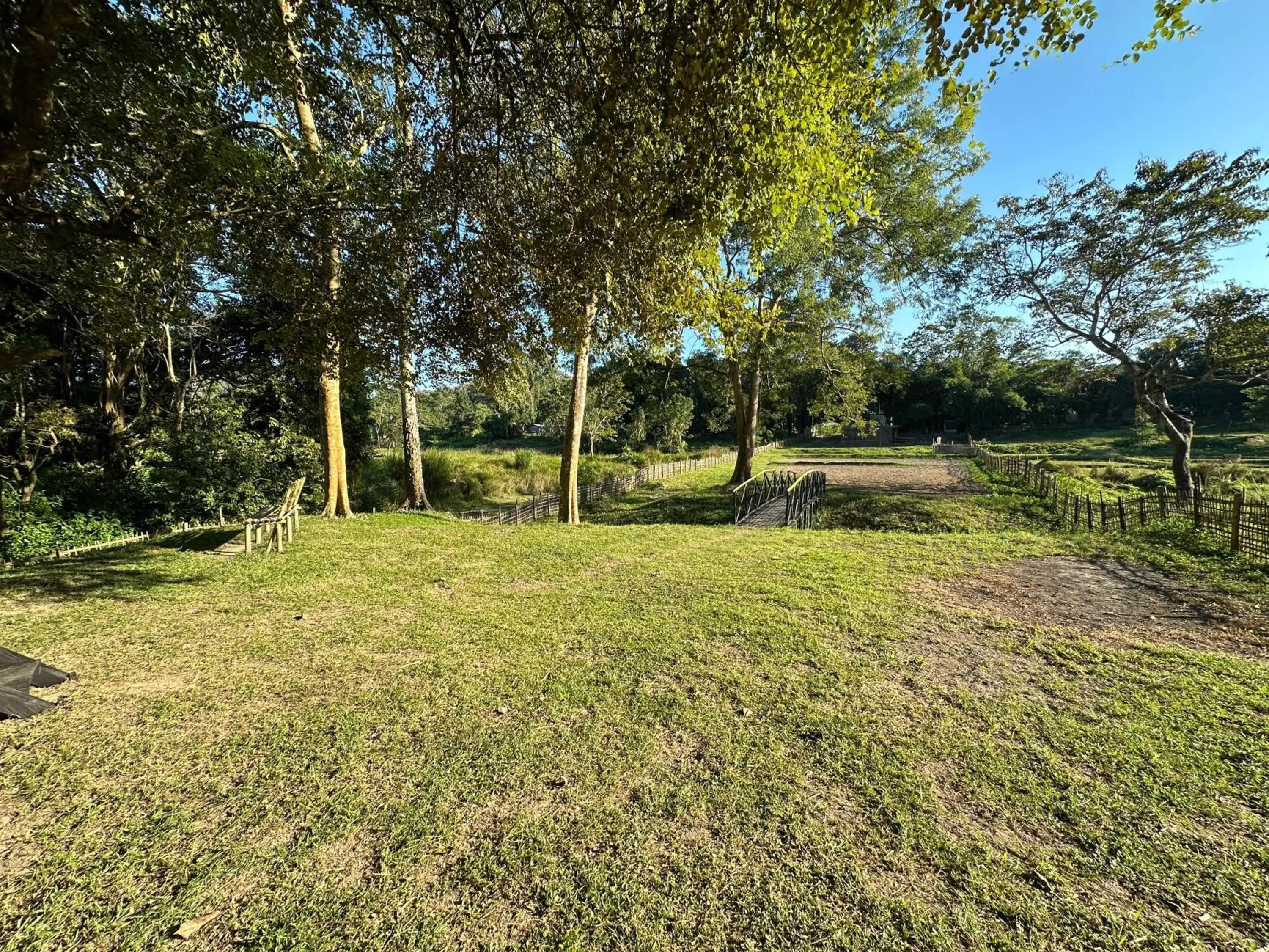 Garden in Jungleciti House, Kaziranga National Park