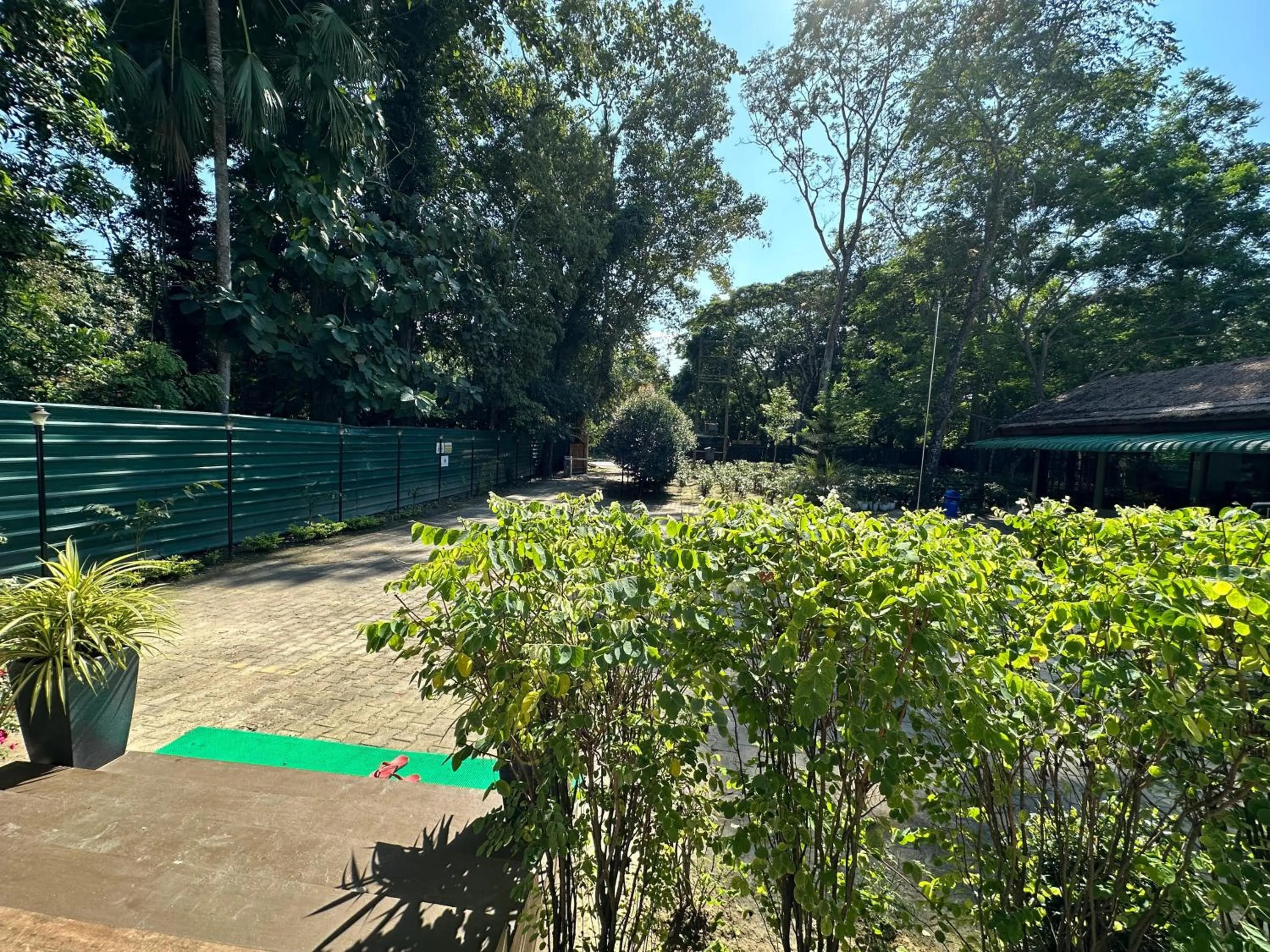 Garden in Jungleciti House, Kaziranga National Park