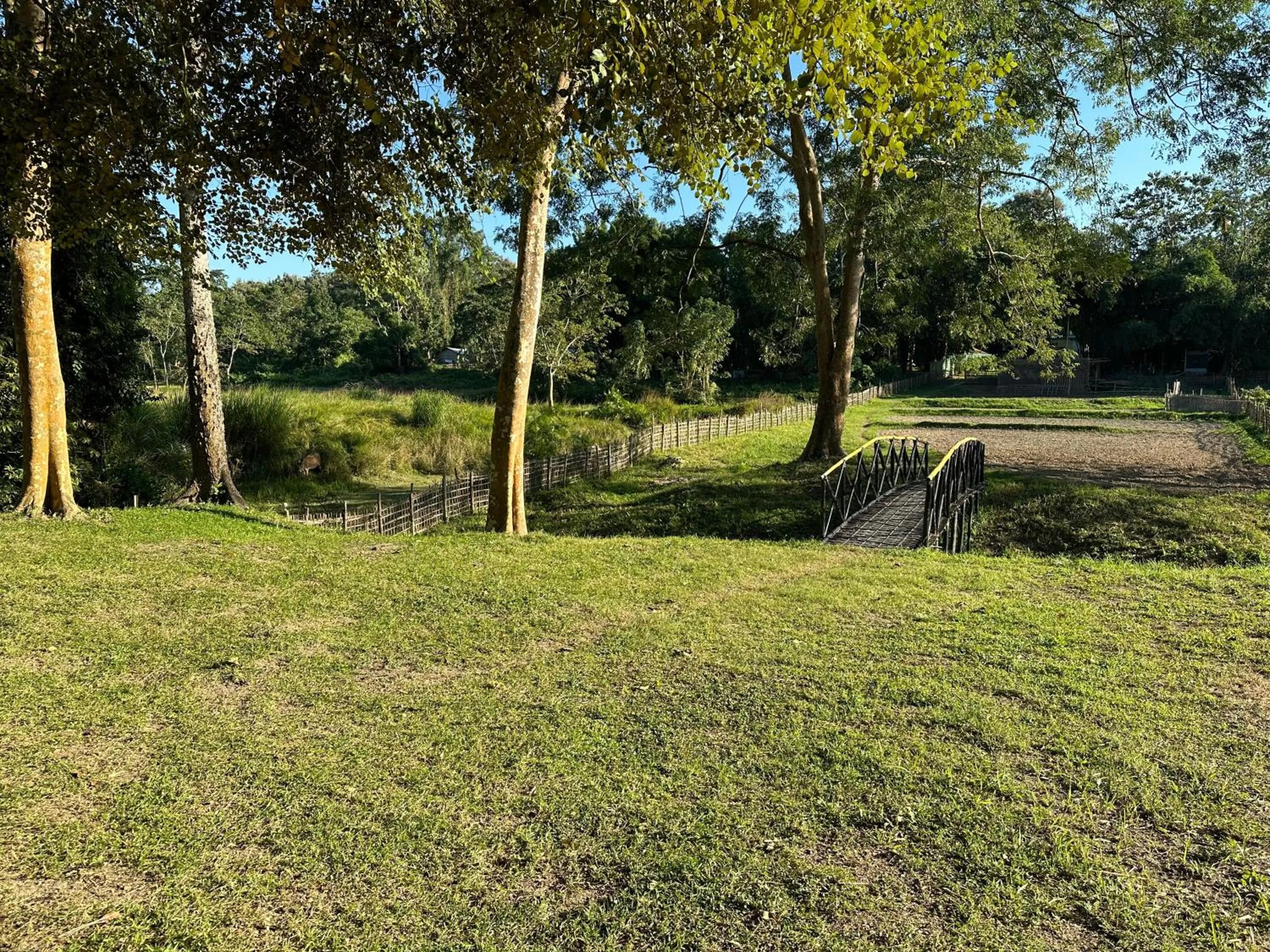 Garden in Jungleciti House, Kaziranga National Park