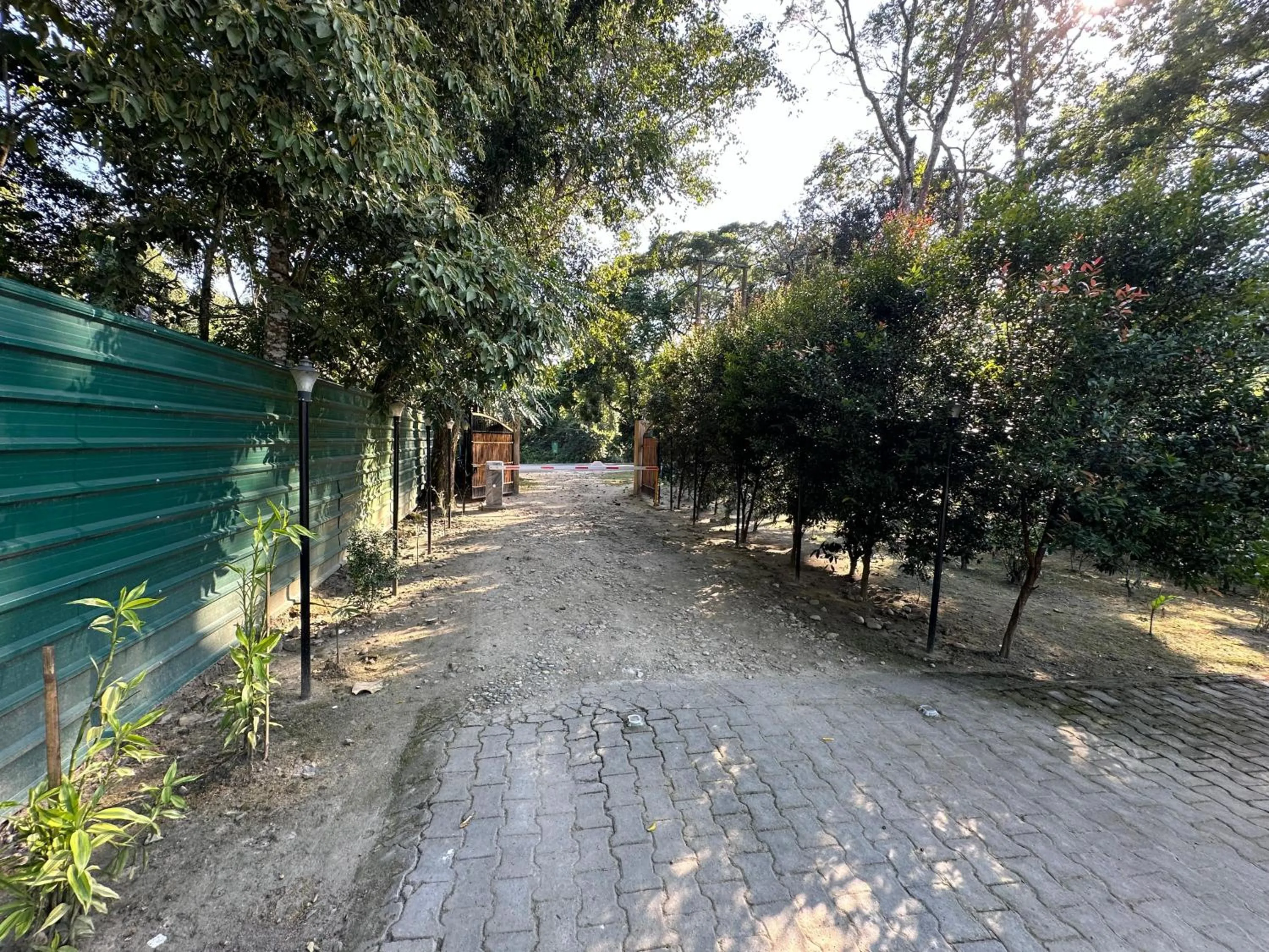 Garden in Jungleciti House, Kaziranga National Park
