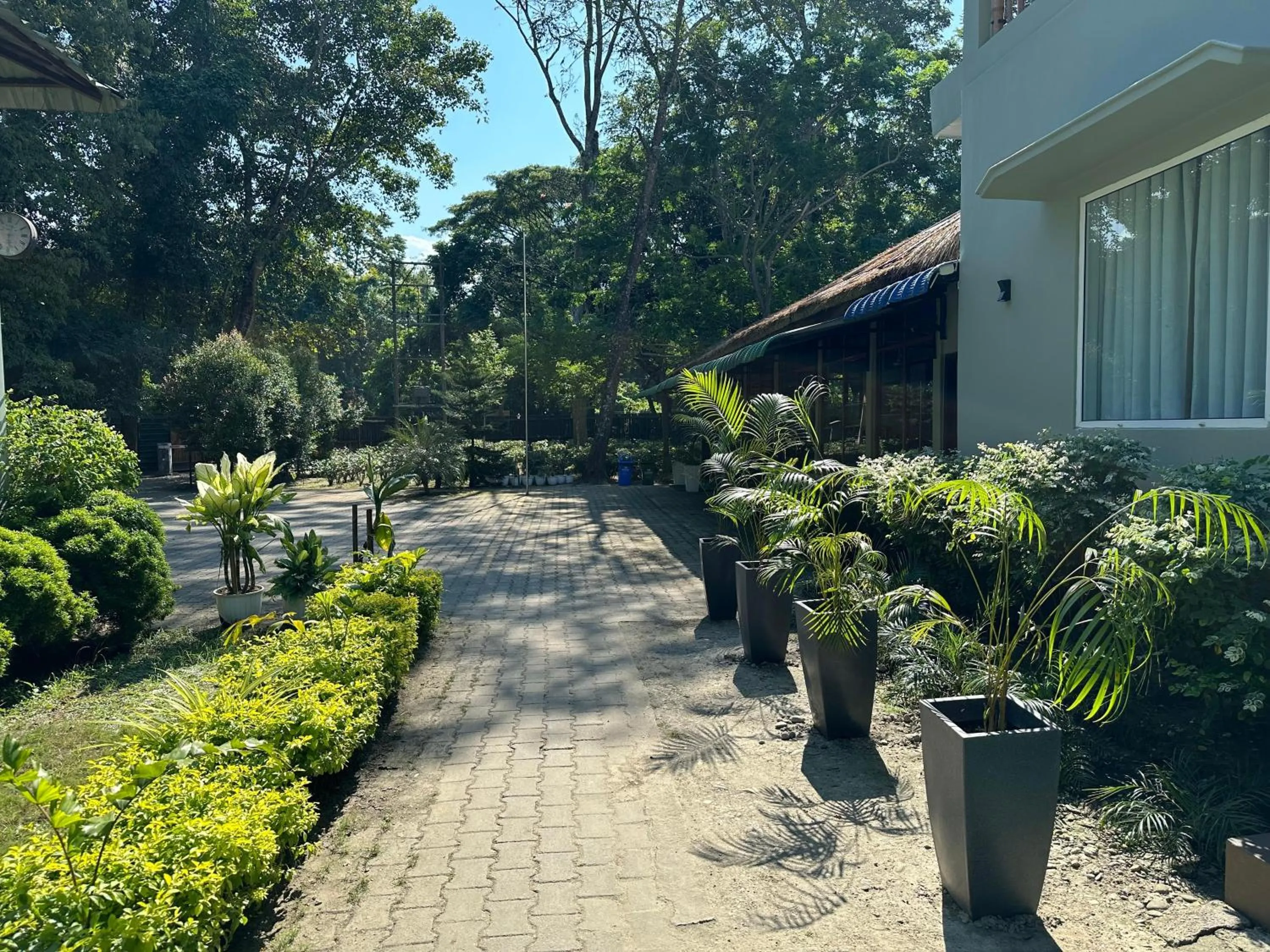 Garden in Jungleciti House, Kaziranga National Park