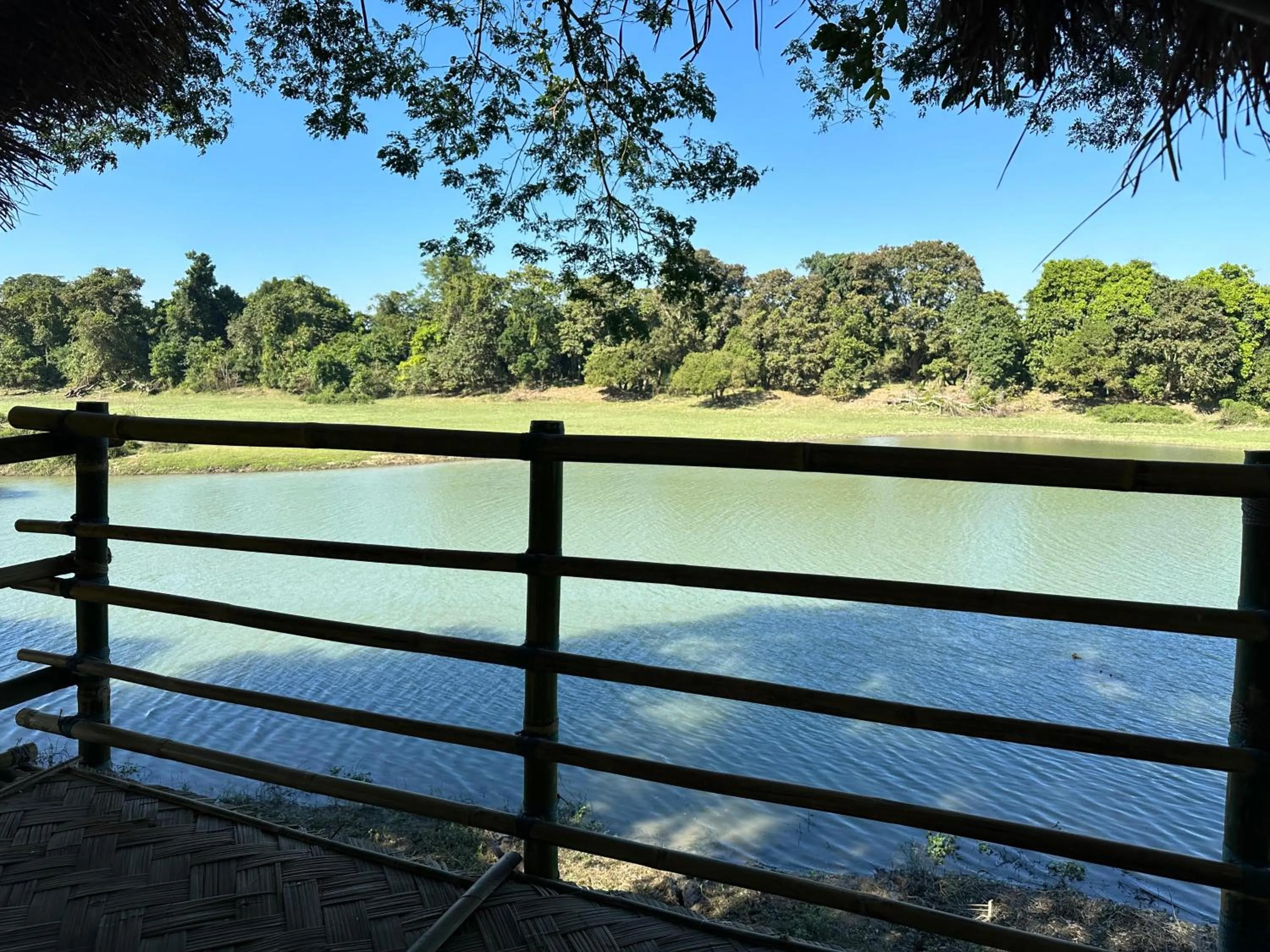 Landmark view in Jungleciti House, Kaziranga National Park