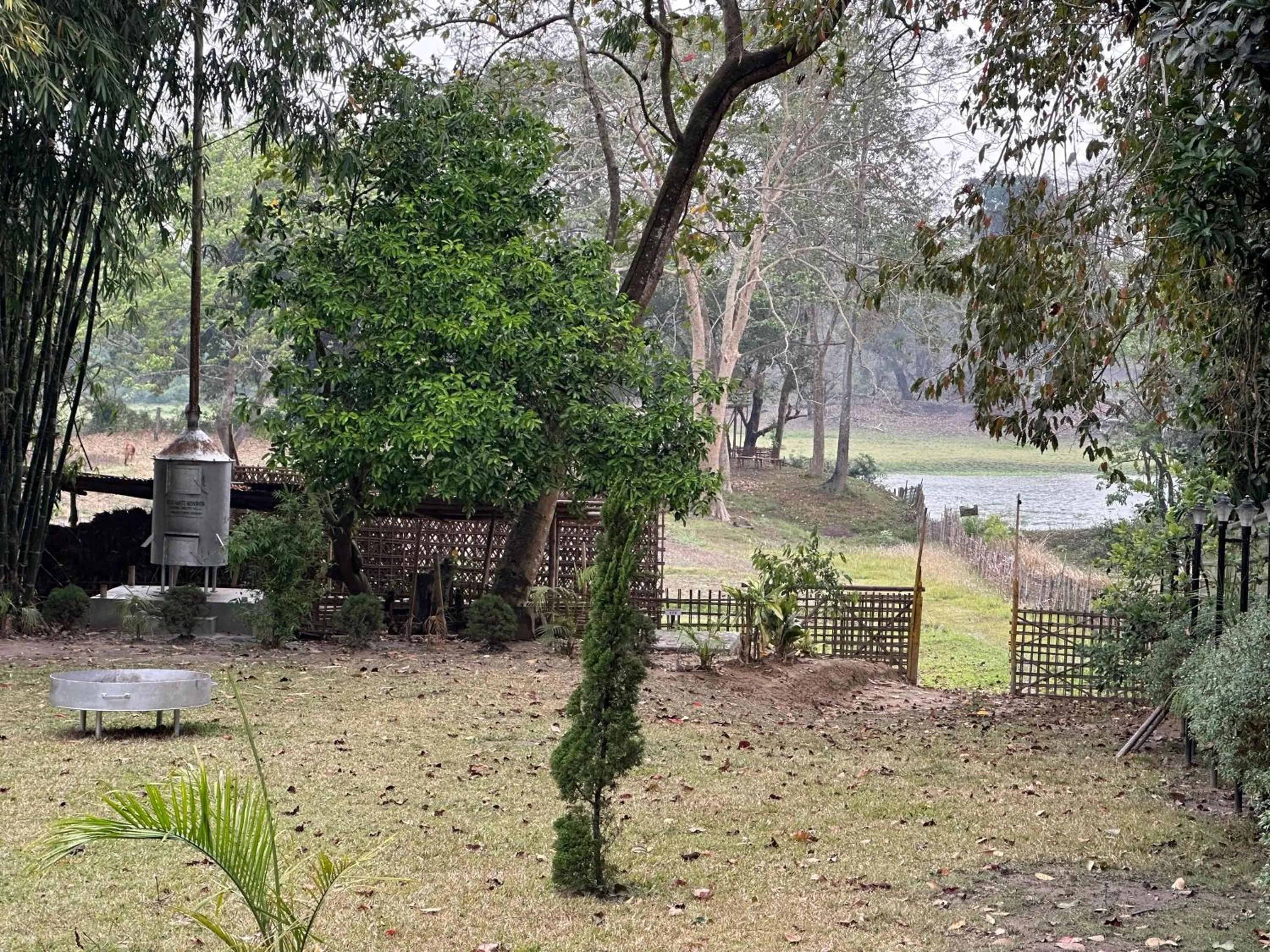 Garden in Jungleciti House, Kaziranga National Park