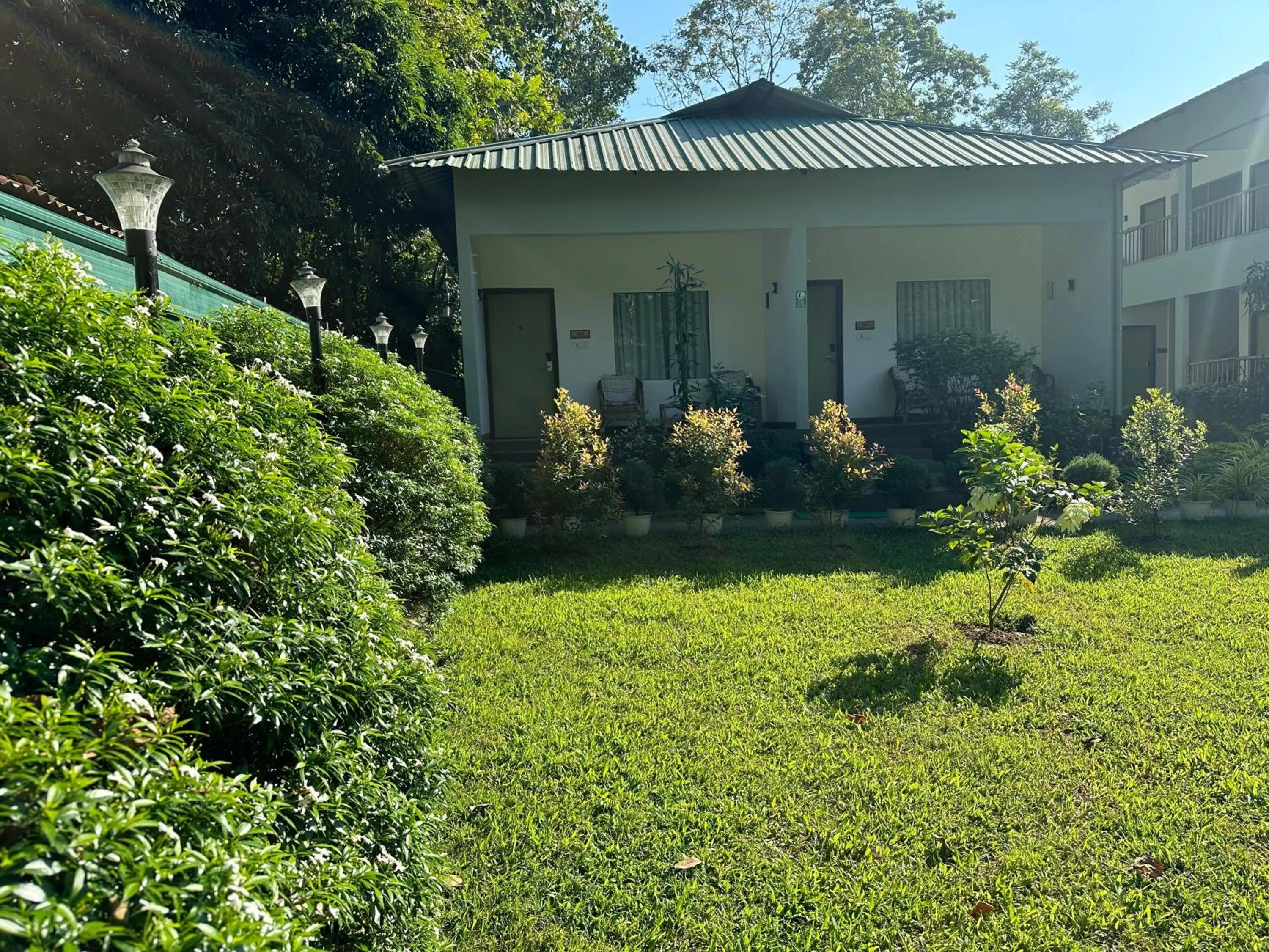 Garden in Jungleciti House, Kaziranga National Park