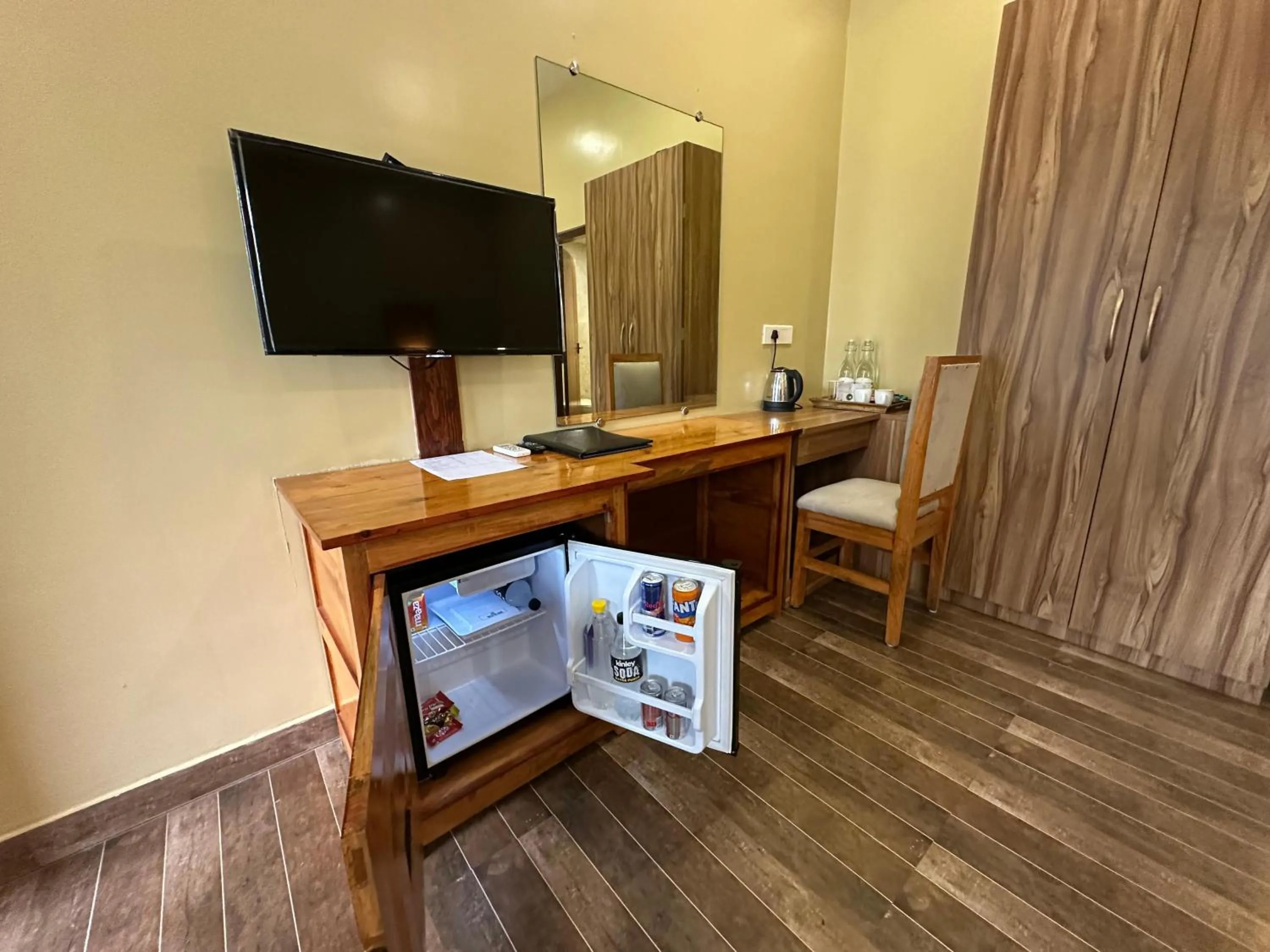 TV and multimedia in Jungleciti House, Kaziranga National Park