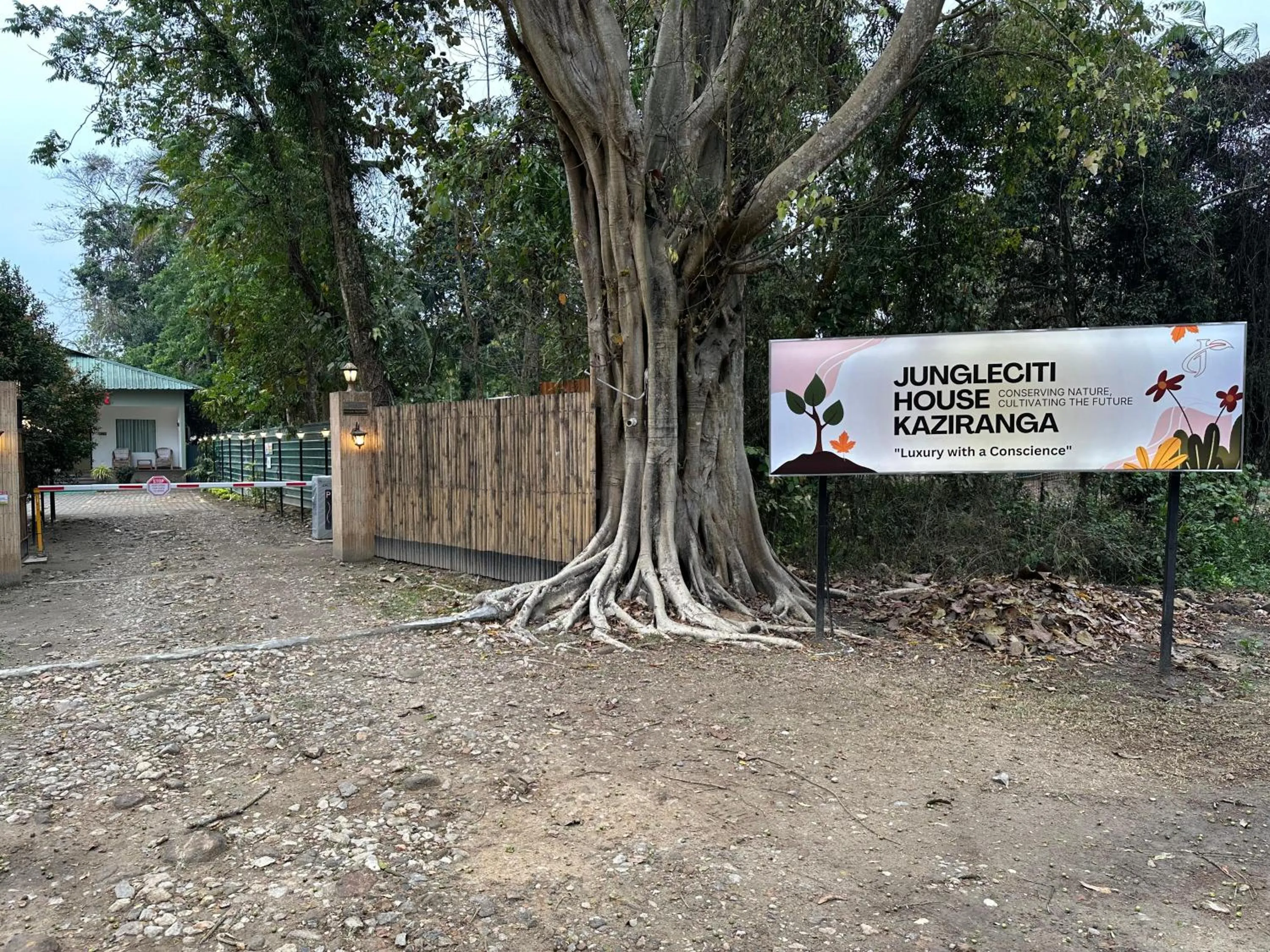 Property building in Jungleciti House, Kaziranga National Park