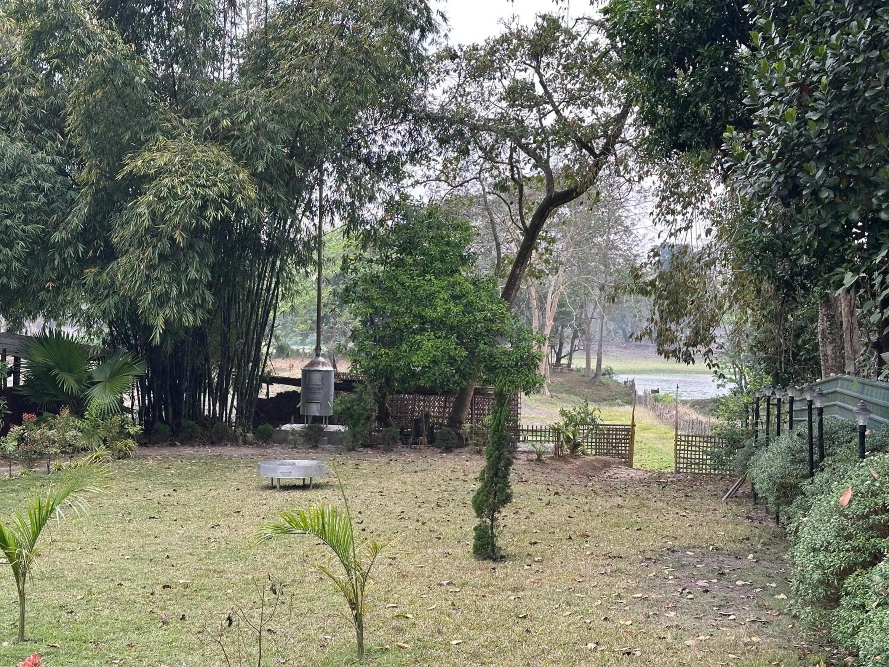View (from property/room) in Jungleciti House, Kaziranga National Park