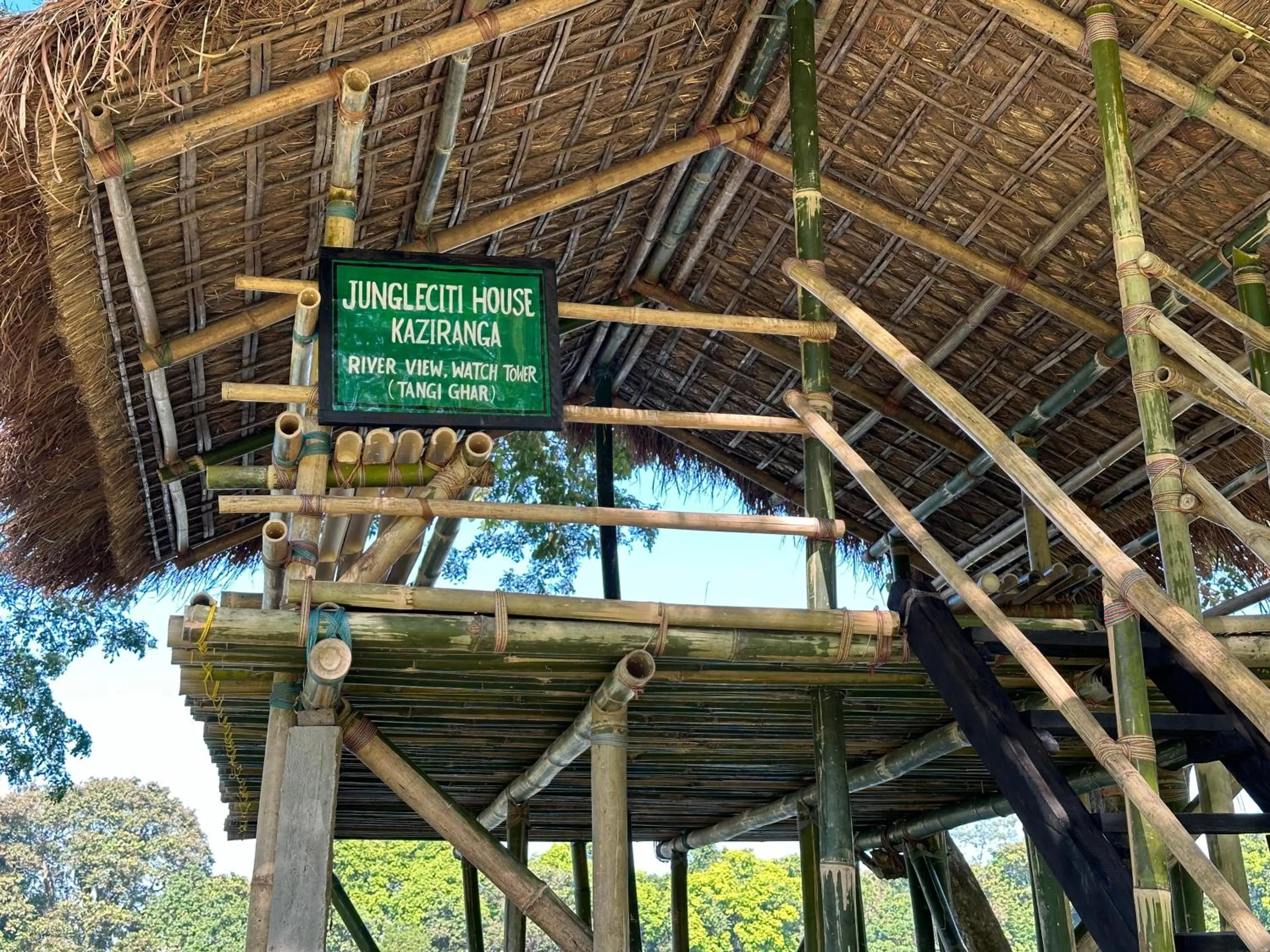 Property building in Jungleciti House, Kaziranga National Park