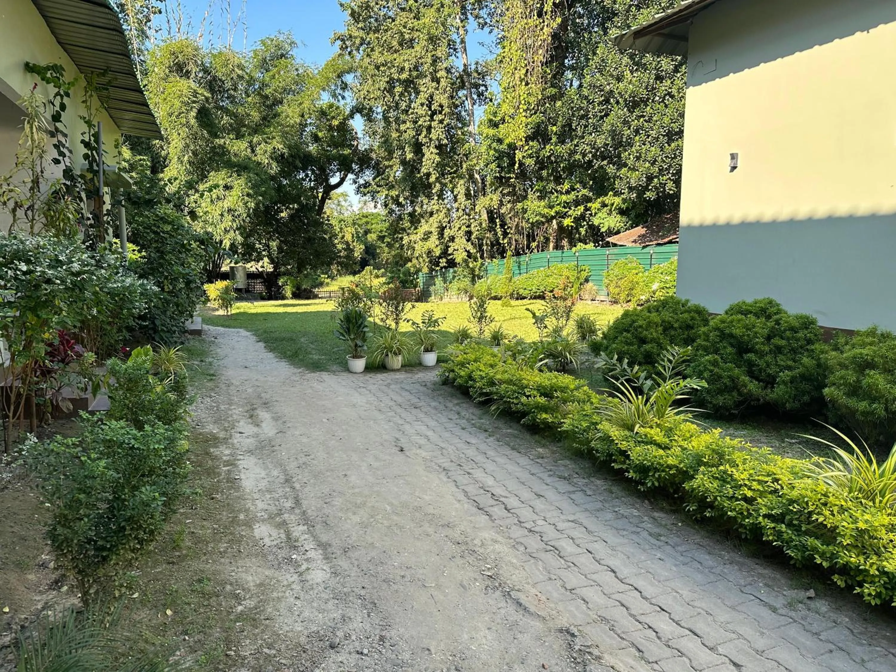 Garden in Jungleciti House, Kaziranga National Park