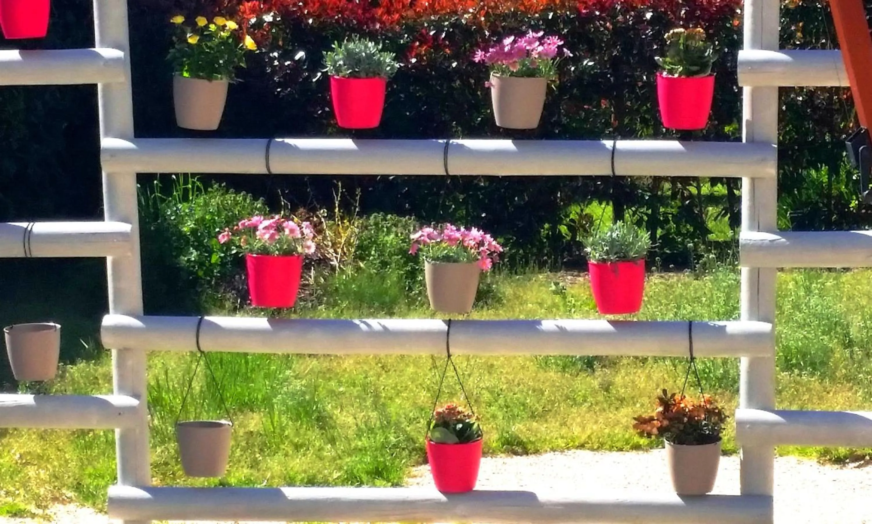 Garden in B&B La Porta Rossa