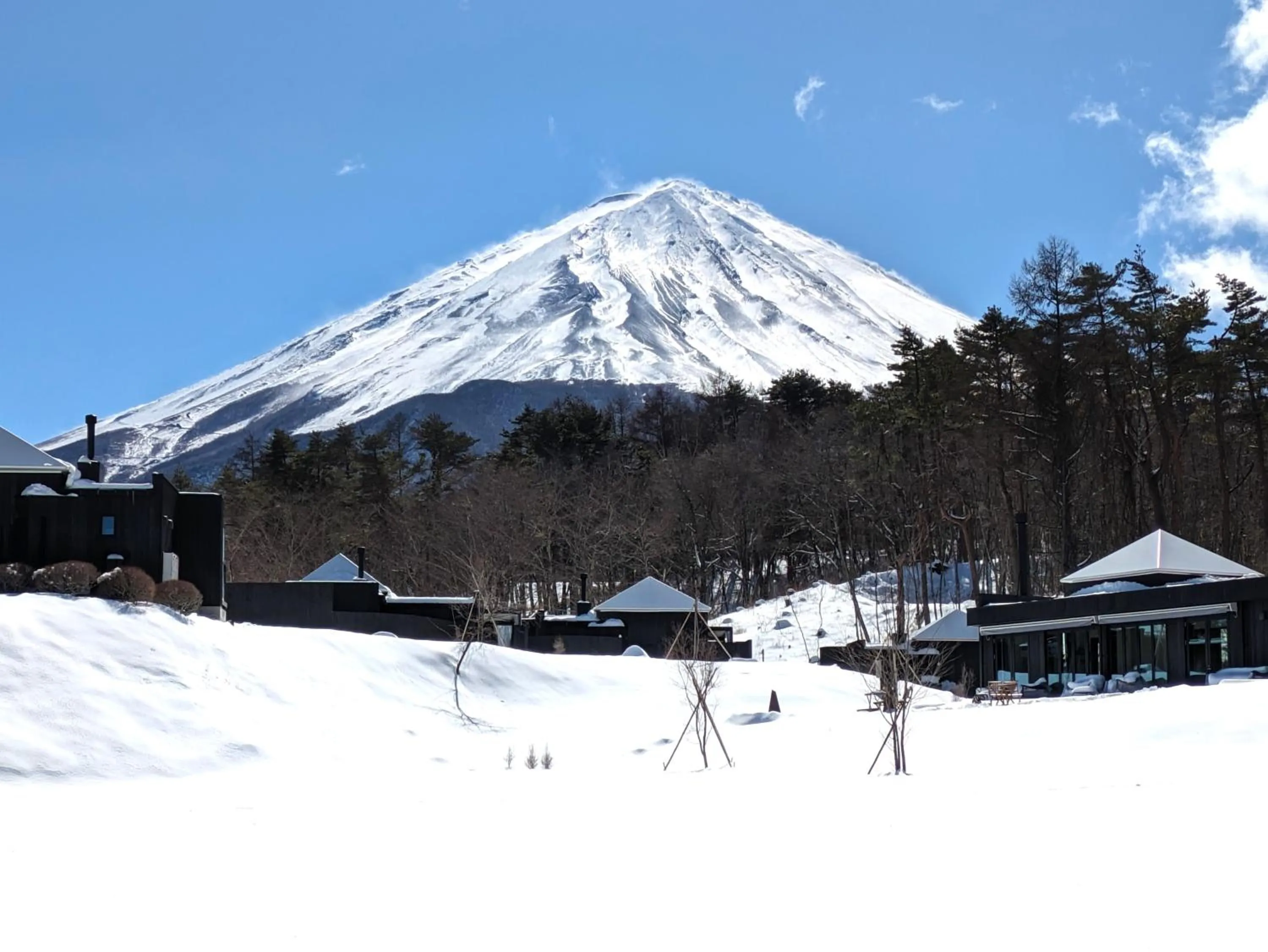 Property building in The SENSE FUJI